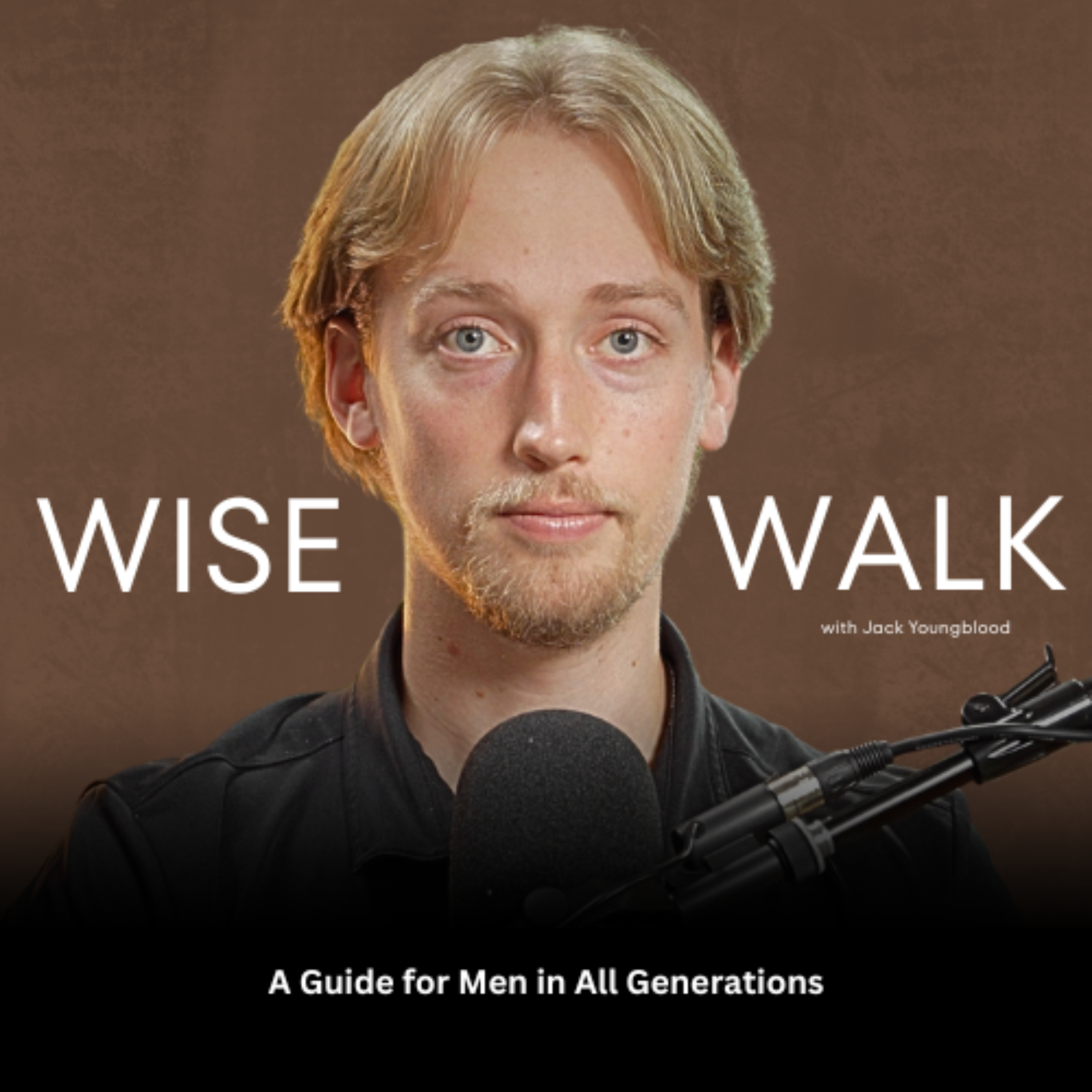 Wise Walk cover art