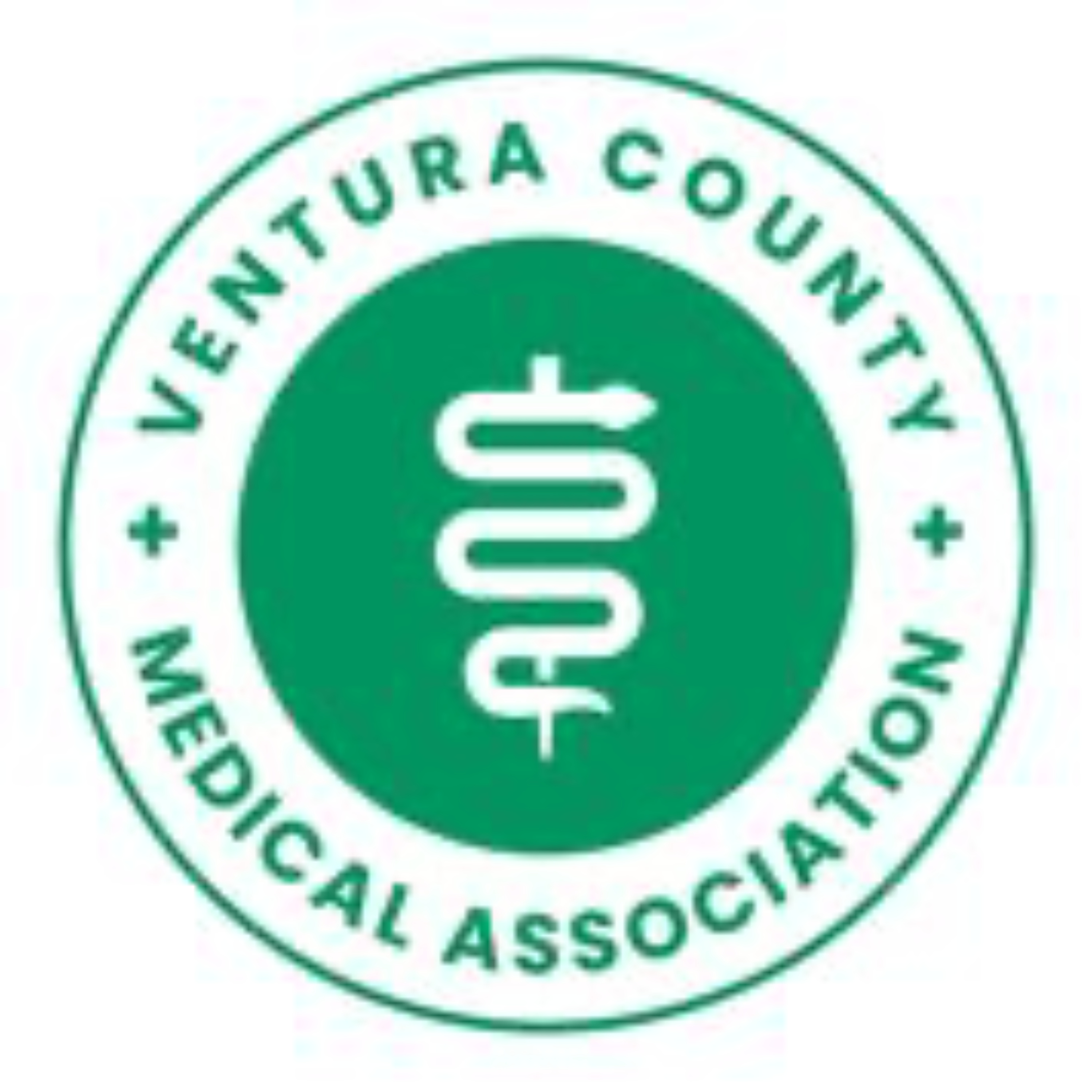 VCMA Member Spotlight