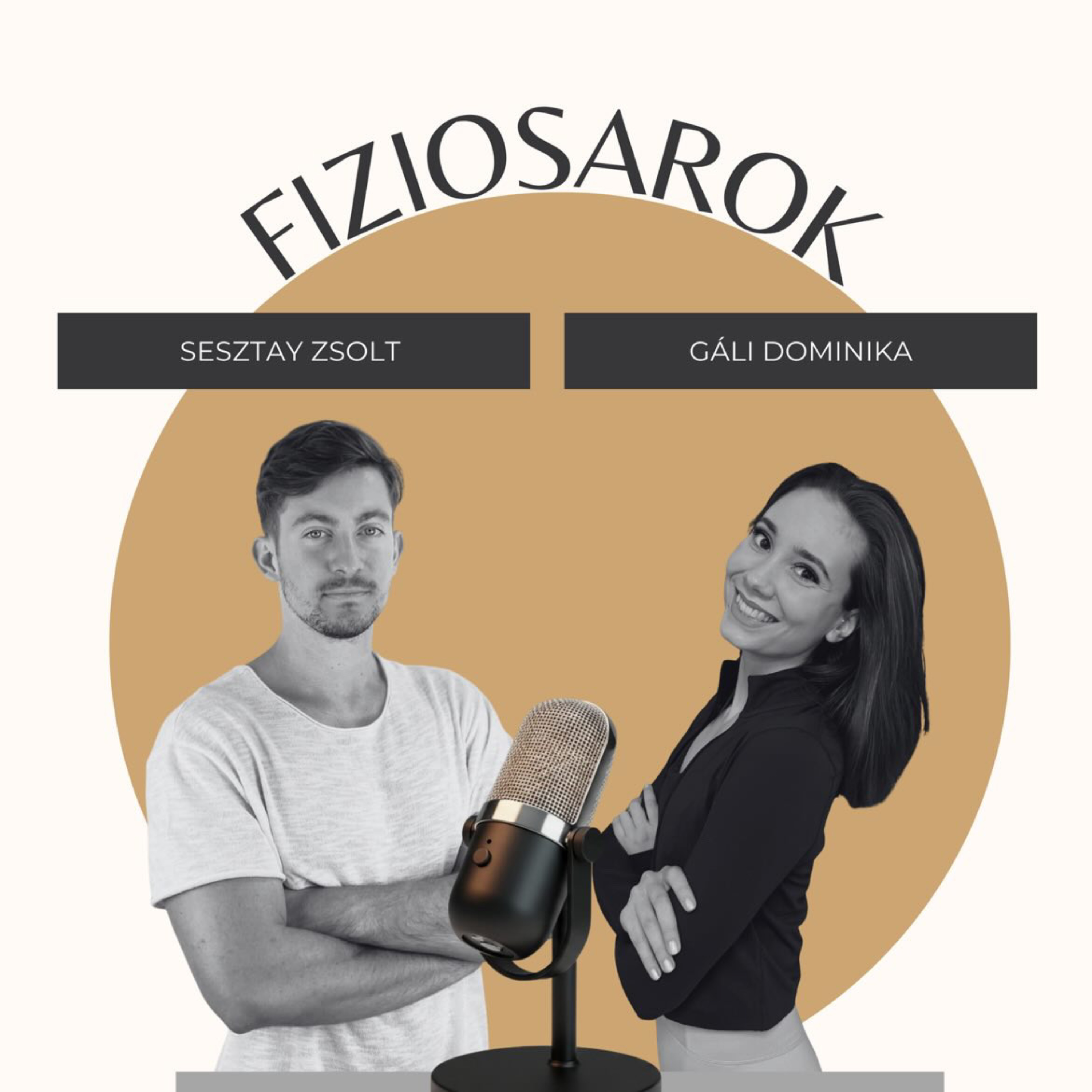 Fiziosarok cover art