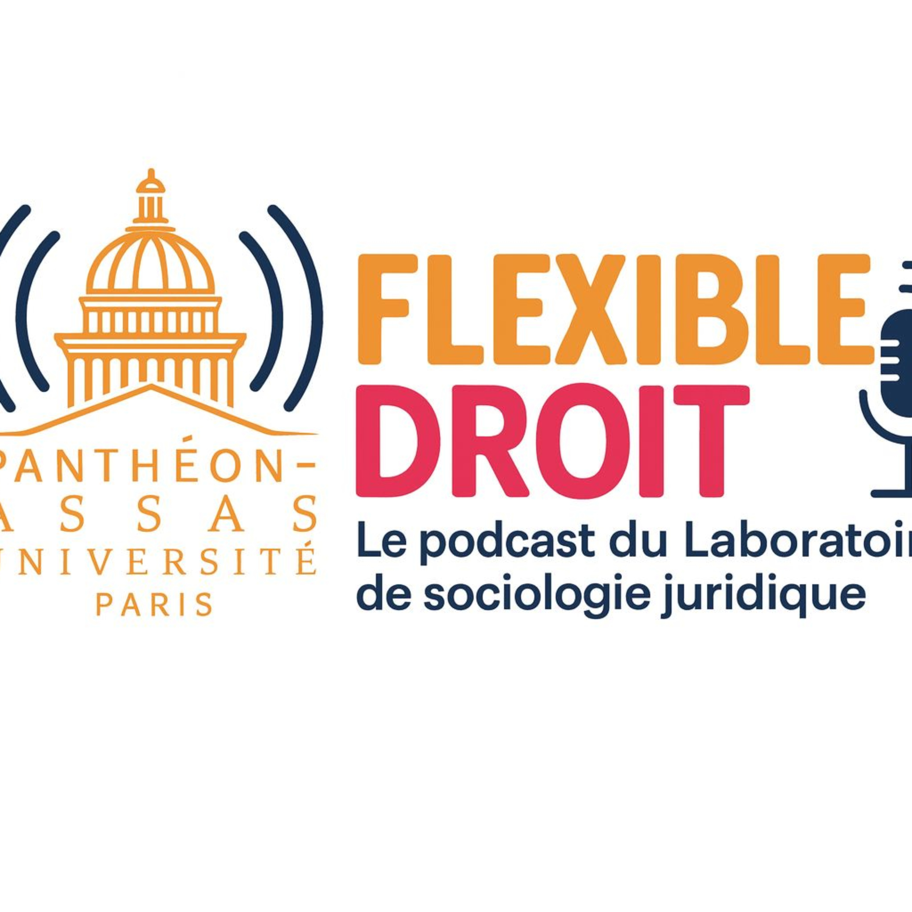 Flexible droit, Le podcast du Laboratoire de Sociologie Juridique d'Assas podcast artwork