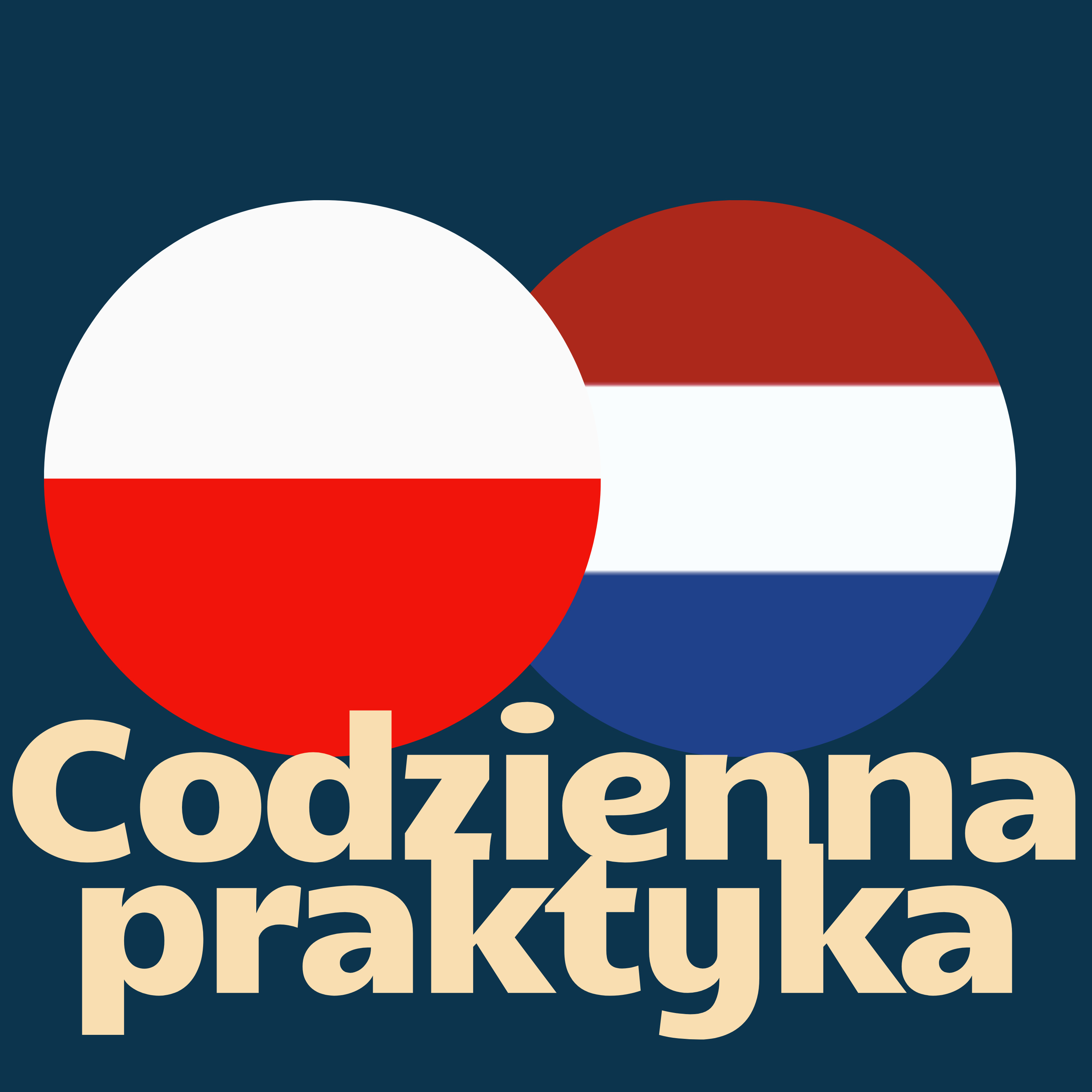 Codzienna Praktyka: Holenderski