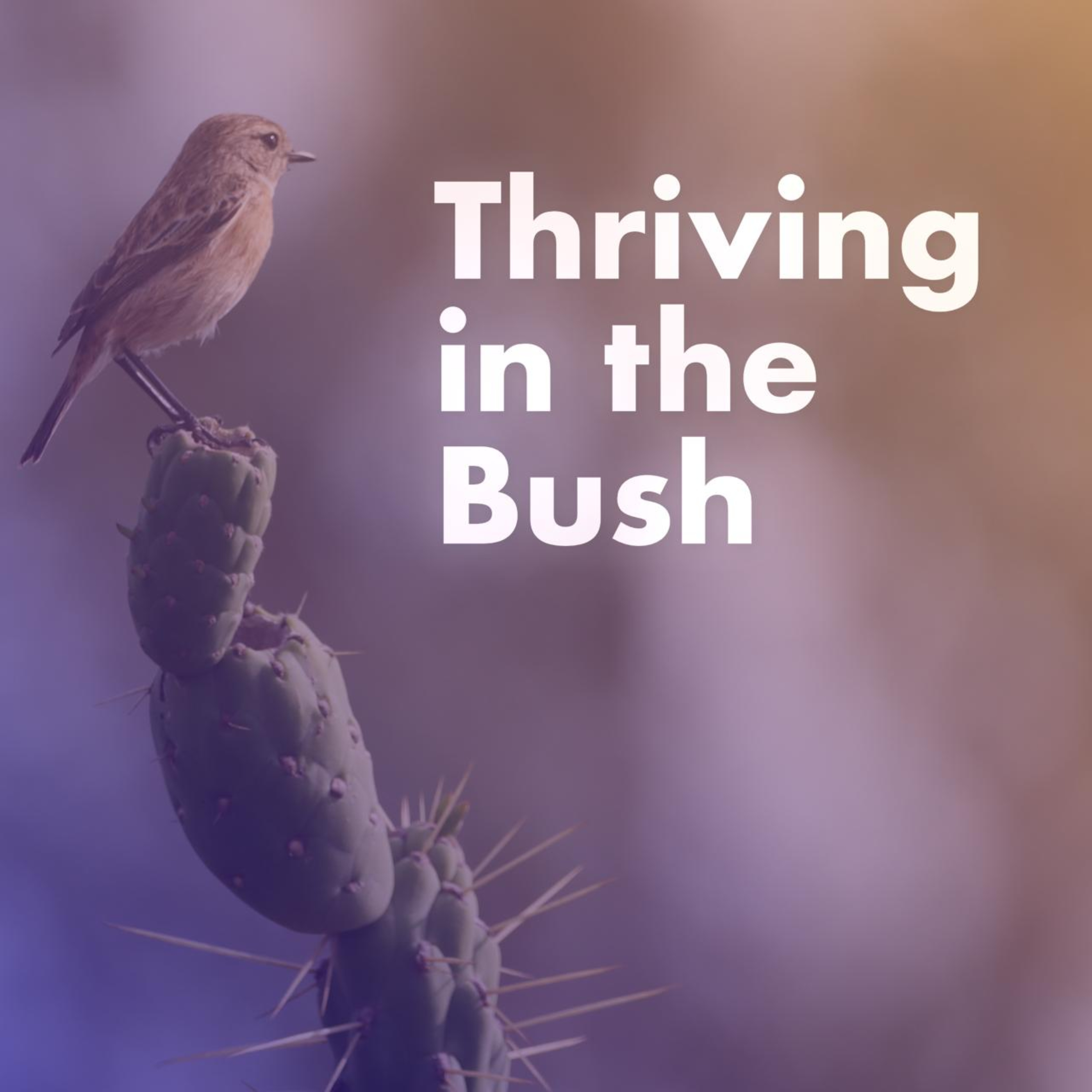Thriving in the Bush