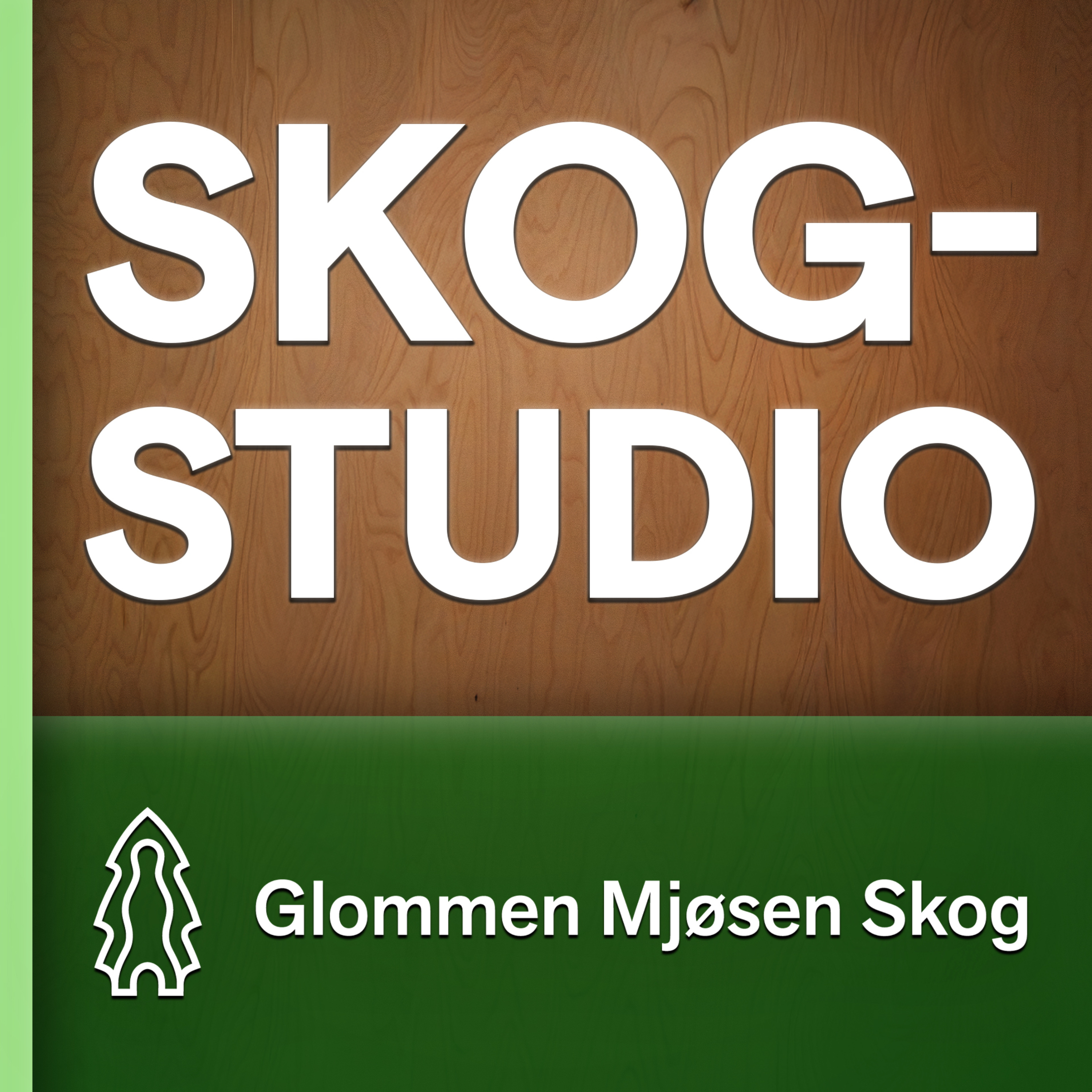 Skogstudio