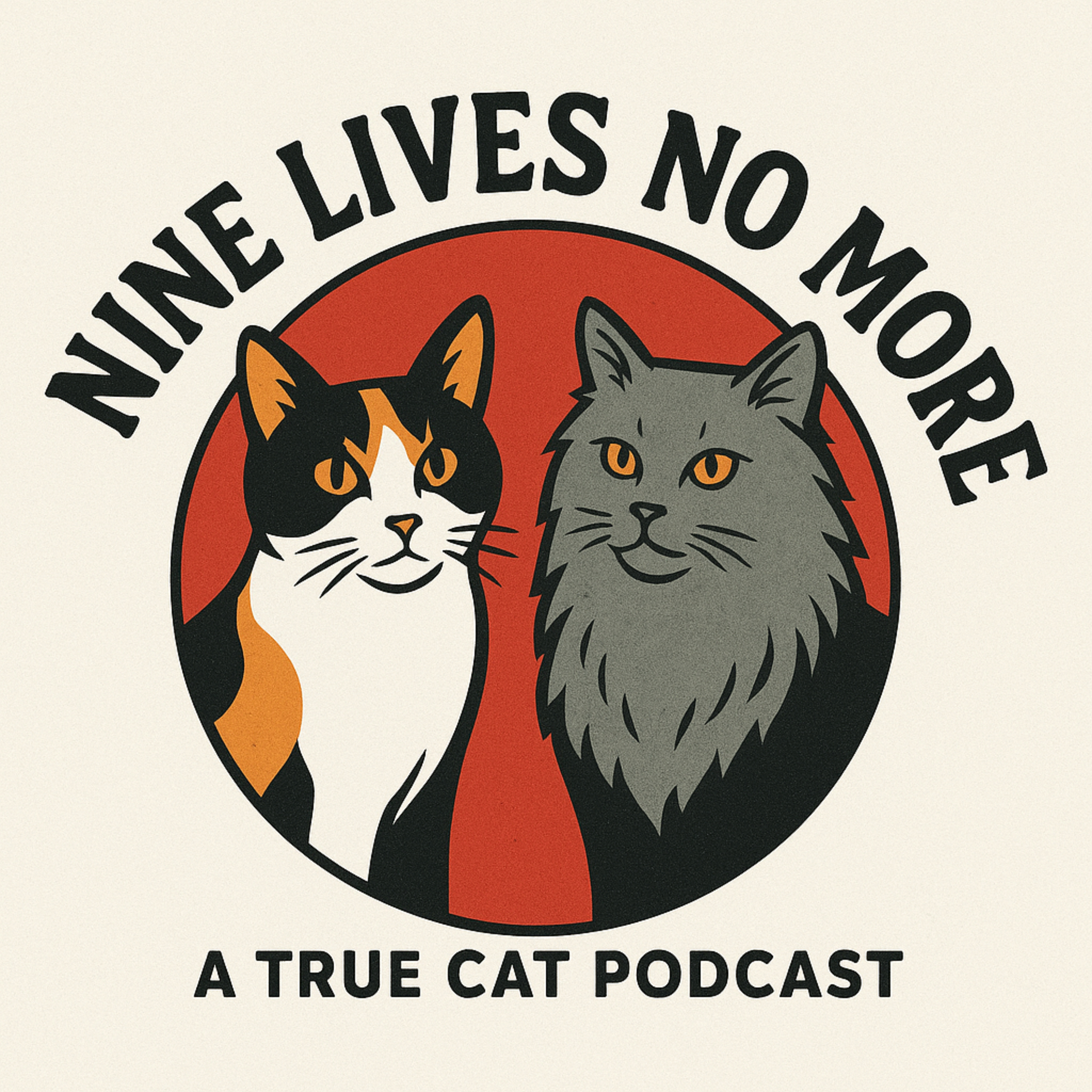 Nine Lives No More podcast artwork