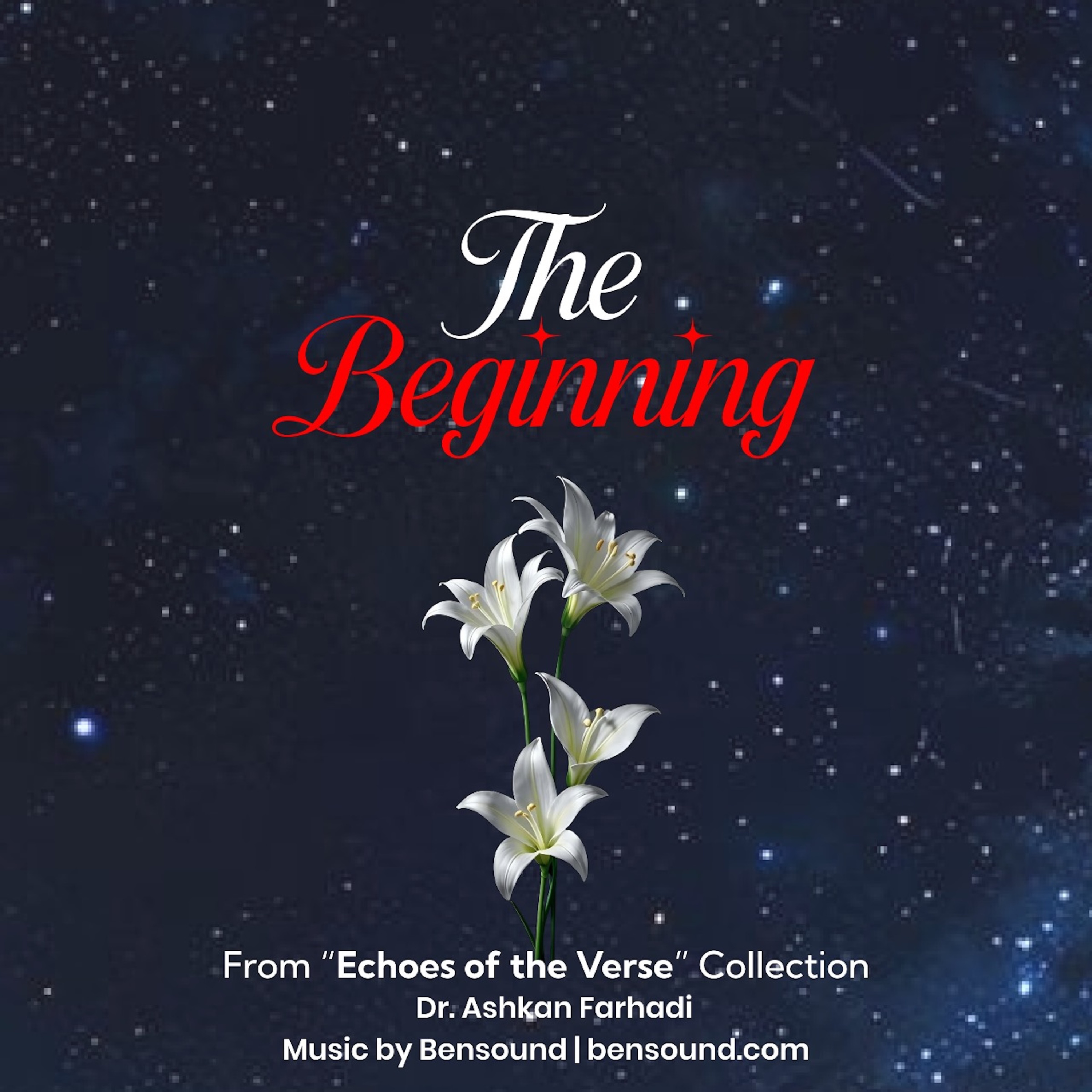 "The Beginning” Echoes of the Verse; Poetry by Dr. Ashkan FarhadiChapter 1 cover art