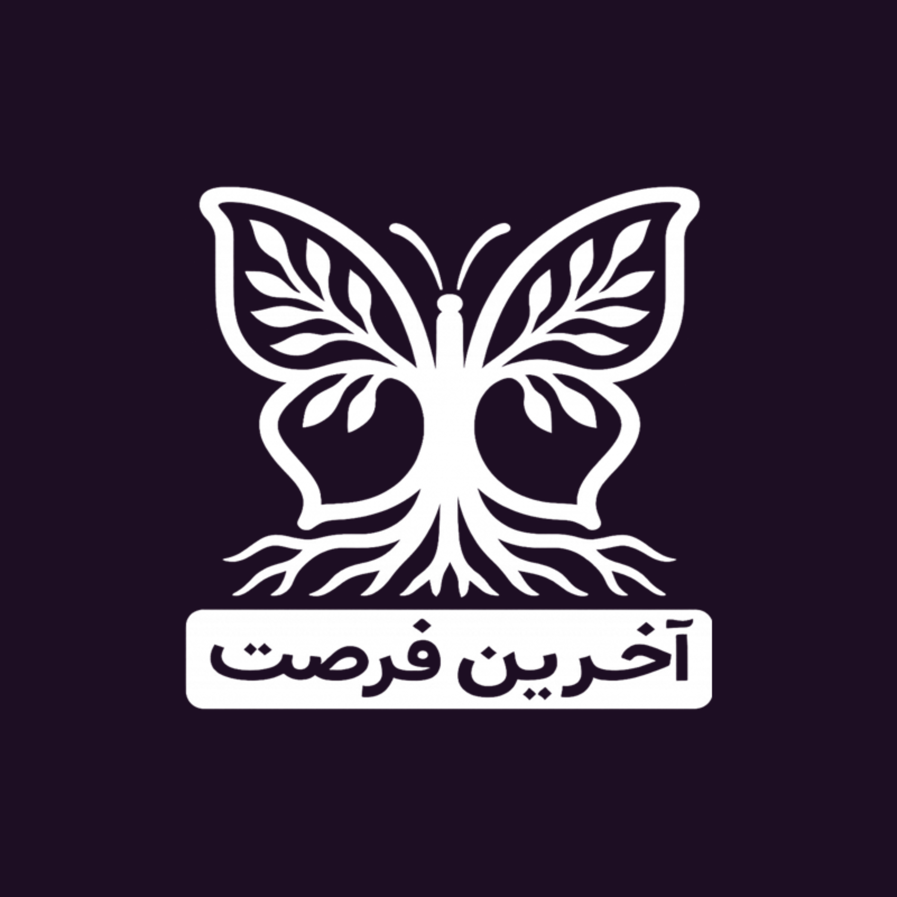 آخرین فرصت