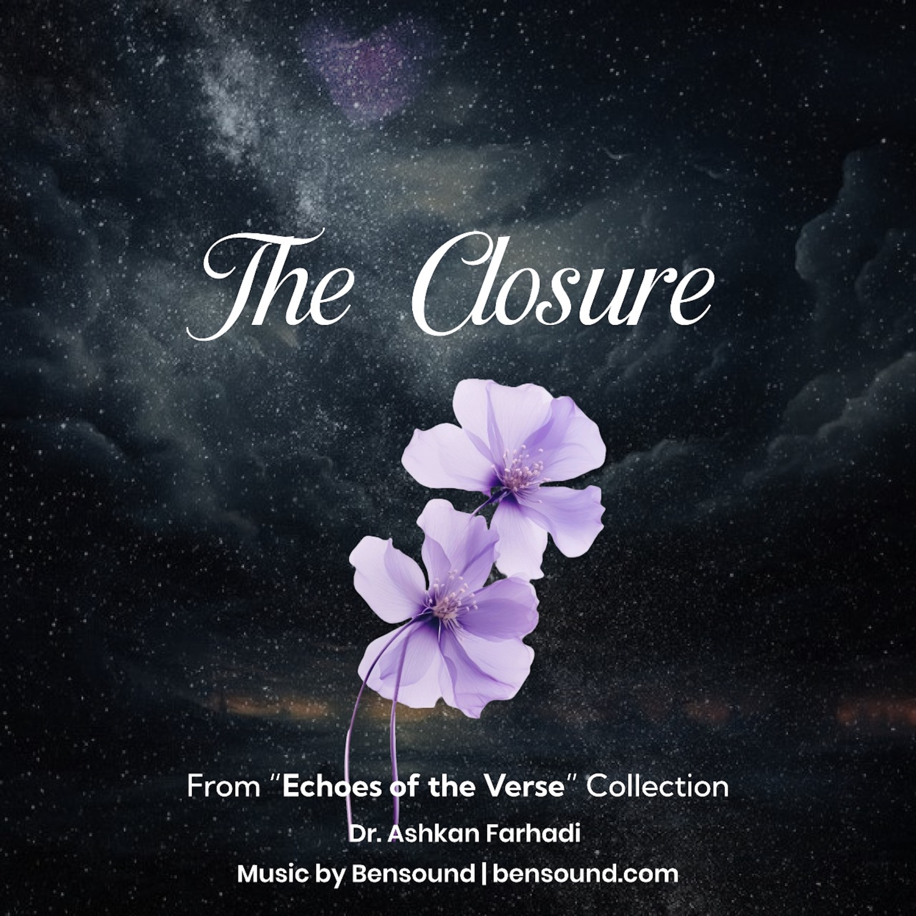 The Closure; Echoes of the Verse; Poetry by Dr. Ashkan Farhadi, Chapter 5 podcast artwork