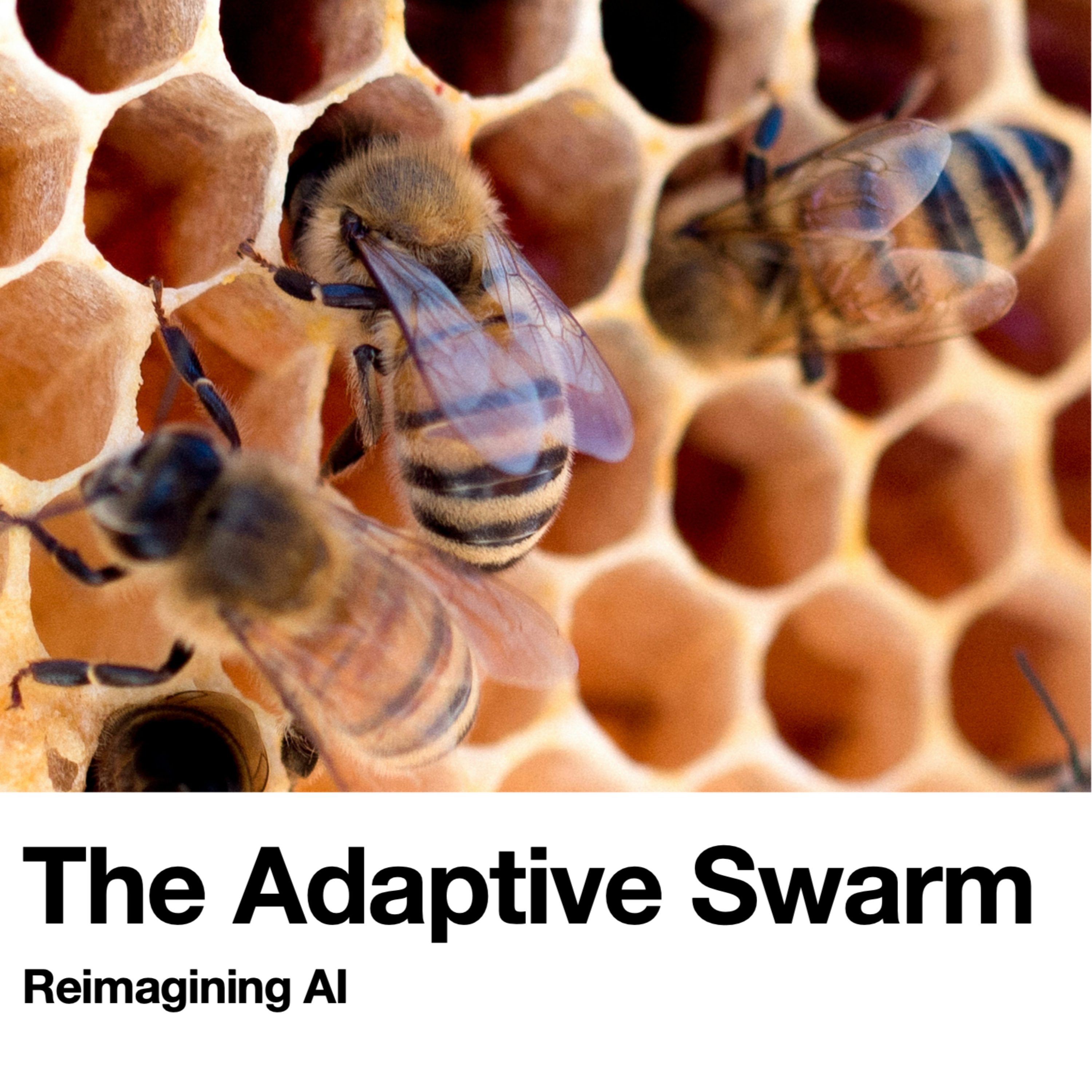 Reimagining AI