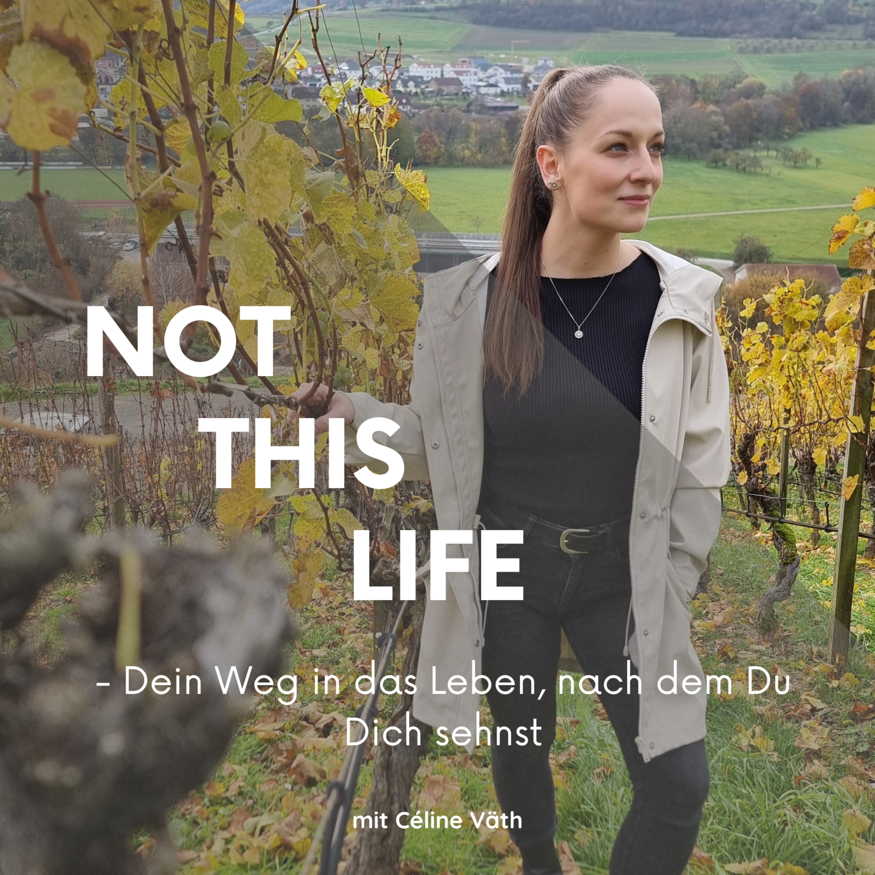 NOT THIS LIFE - Dein Weg in das Leben, nach dem Du Dich sehnst