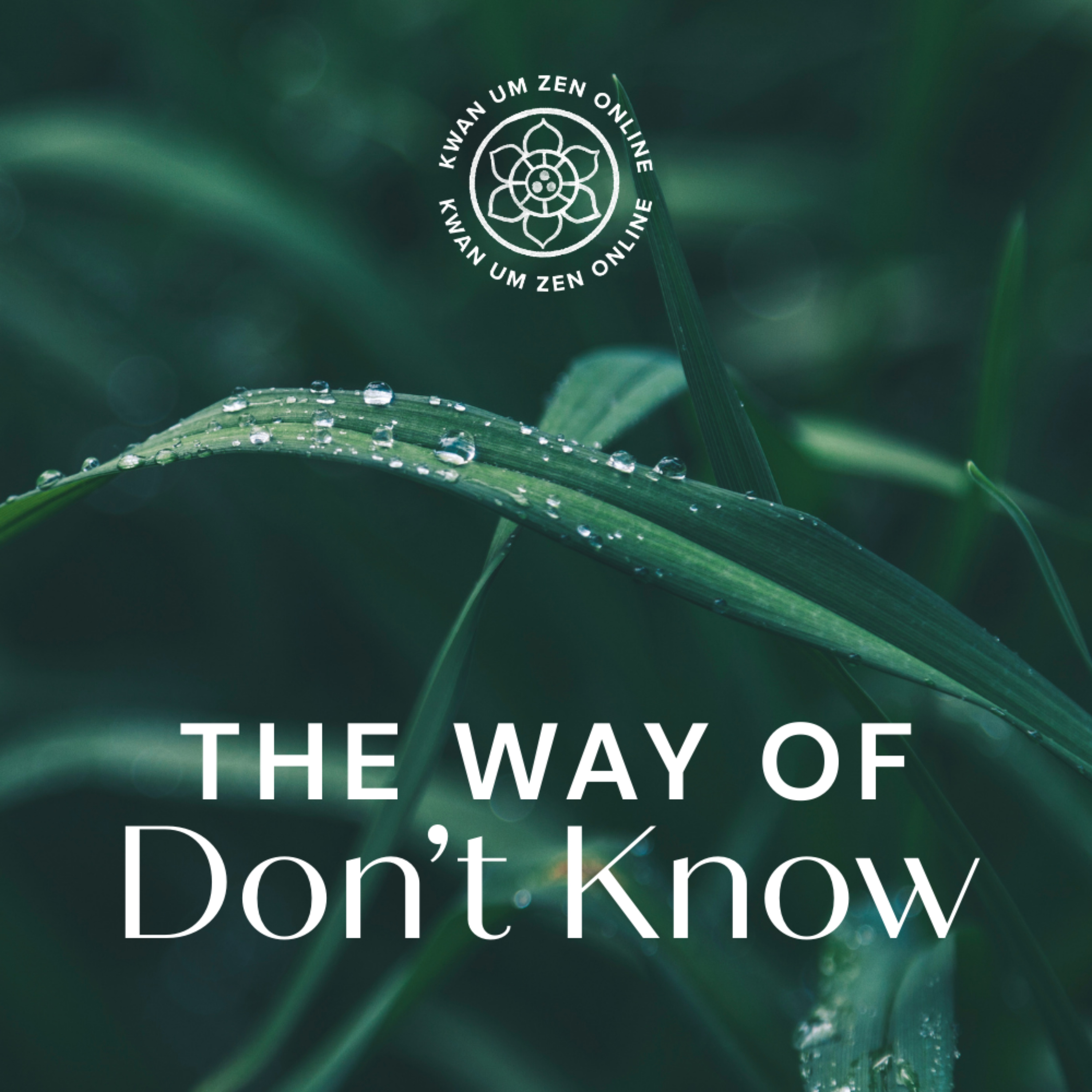 Kwan Um Zen Online Podcast – The Way of Don’t Know. podcast artwork