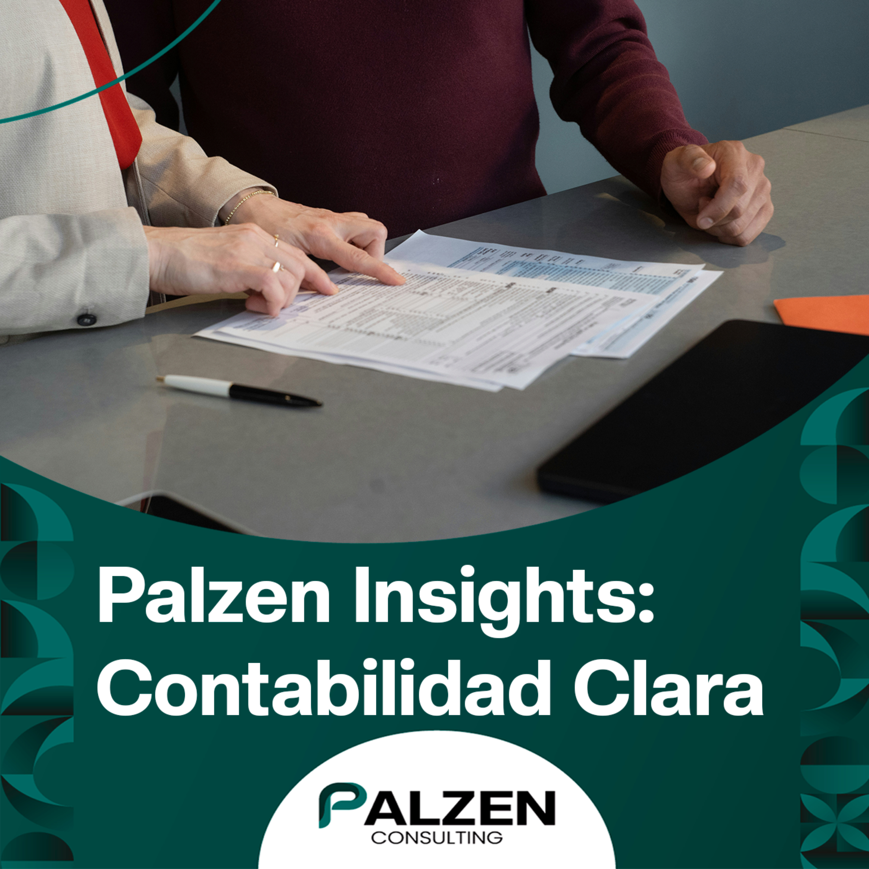 Palzen Insights: Contabilidad Clara
