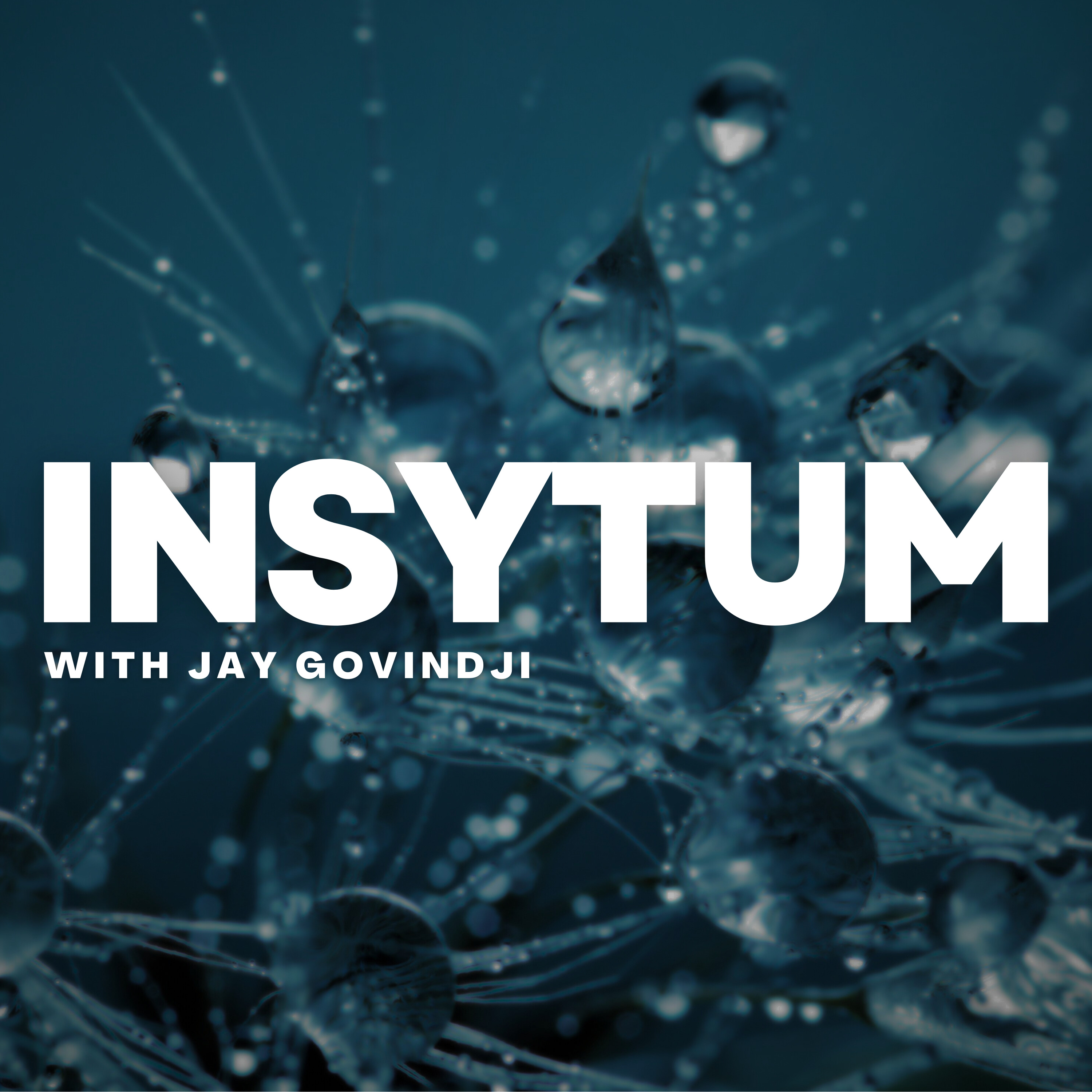 Insytum