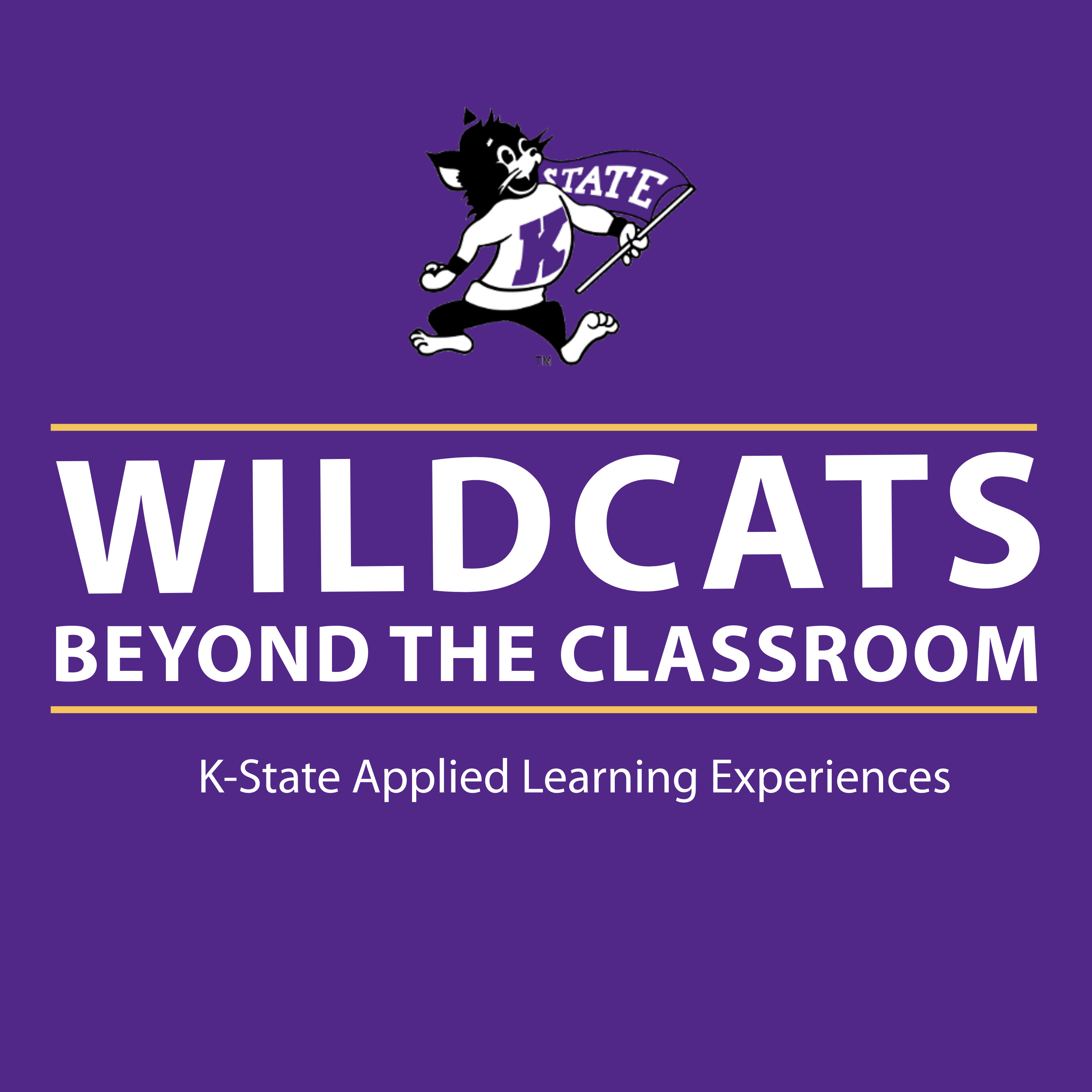 Wildcats Beyond the Classroom podcast artwork