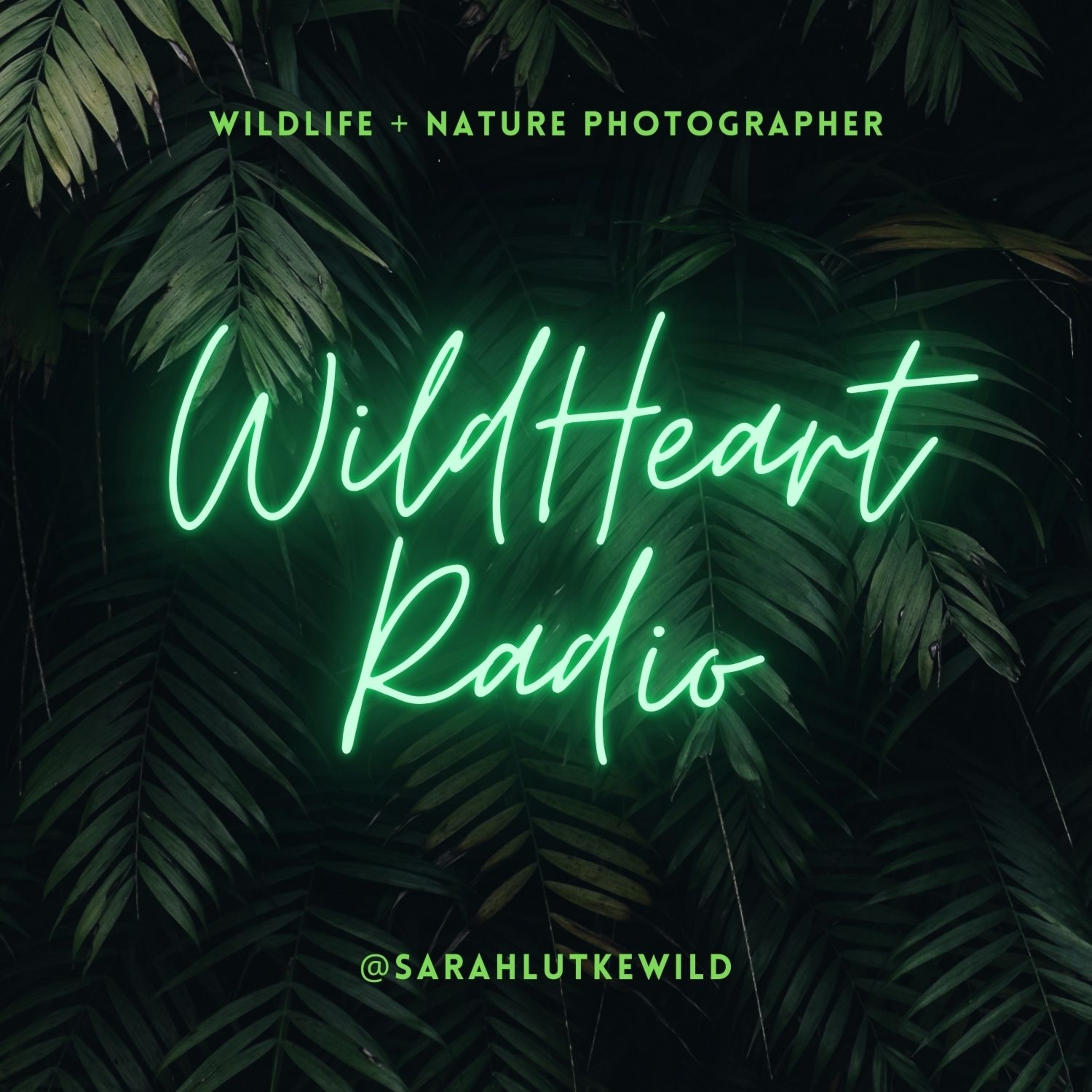 WildHeart Radio with Sarah Lutke Wild