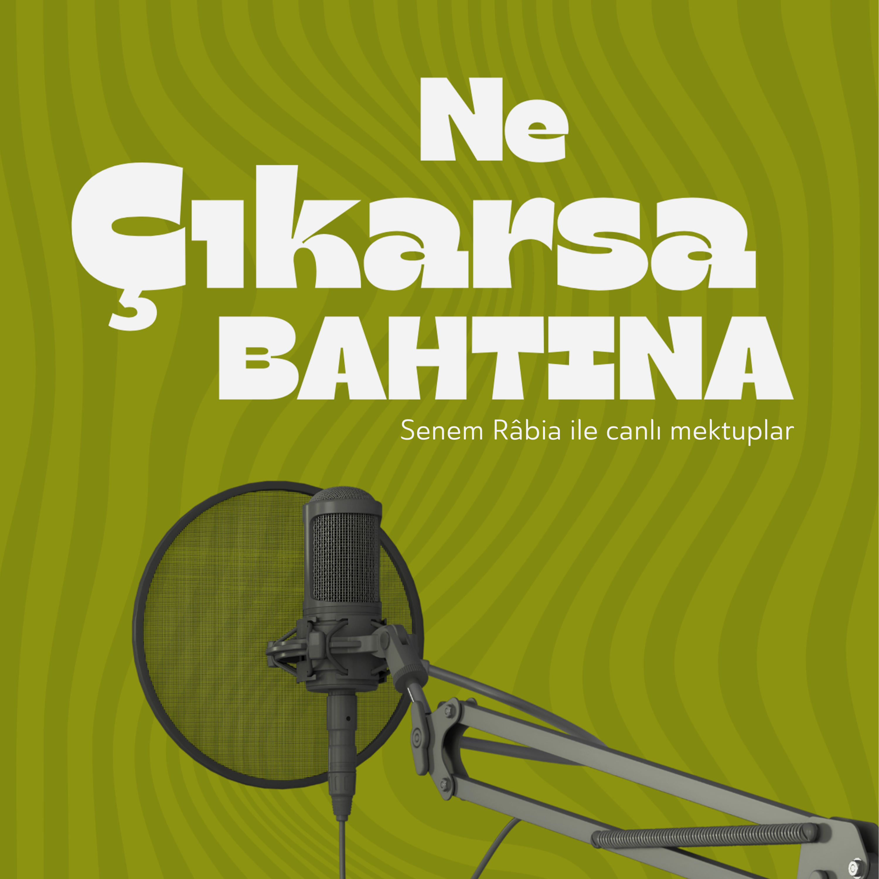 Ne Çıkarsa Bahtına cover art