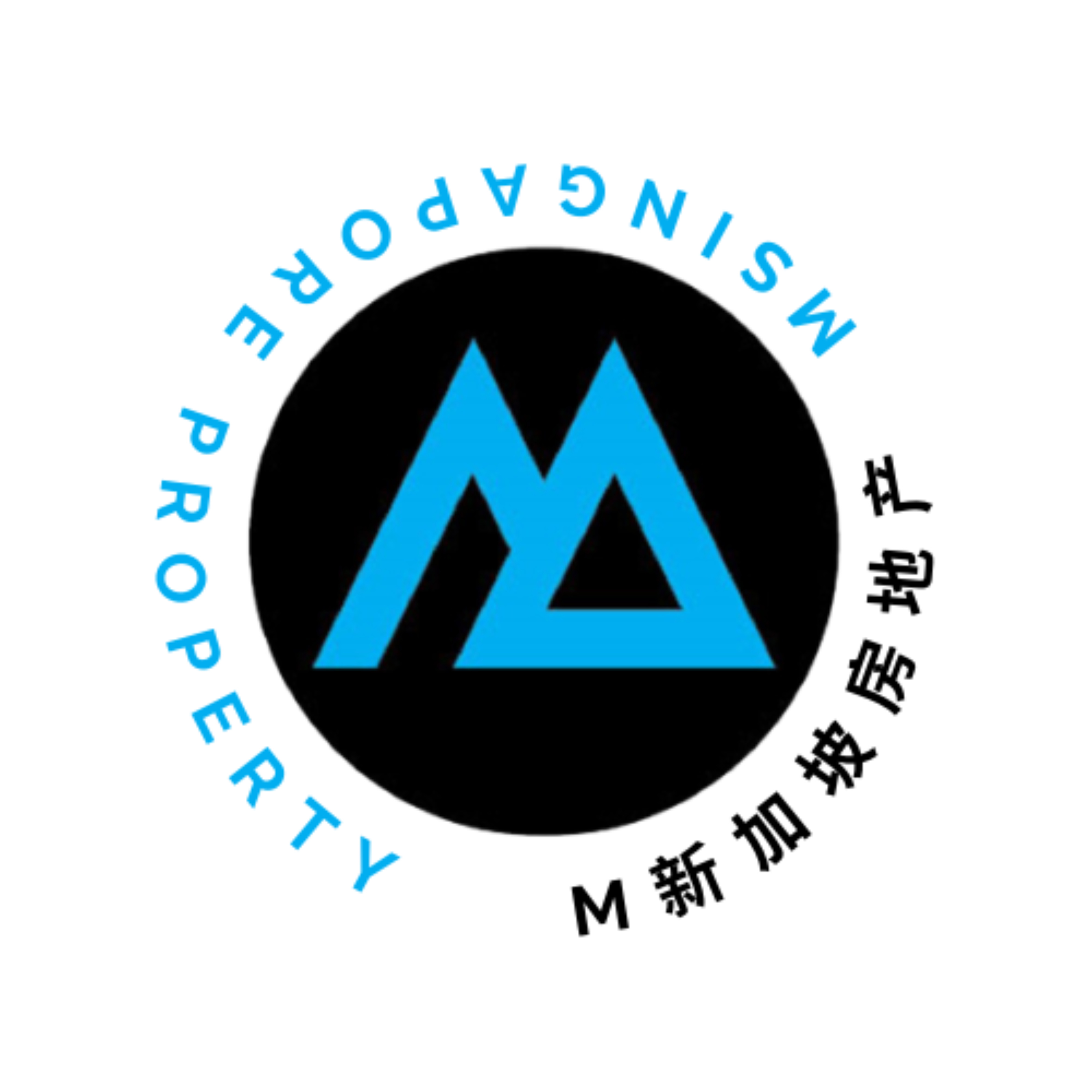 M 新加坡房地产