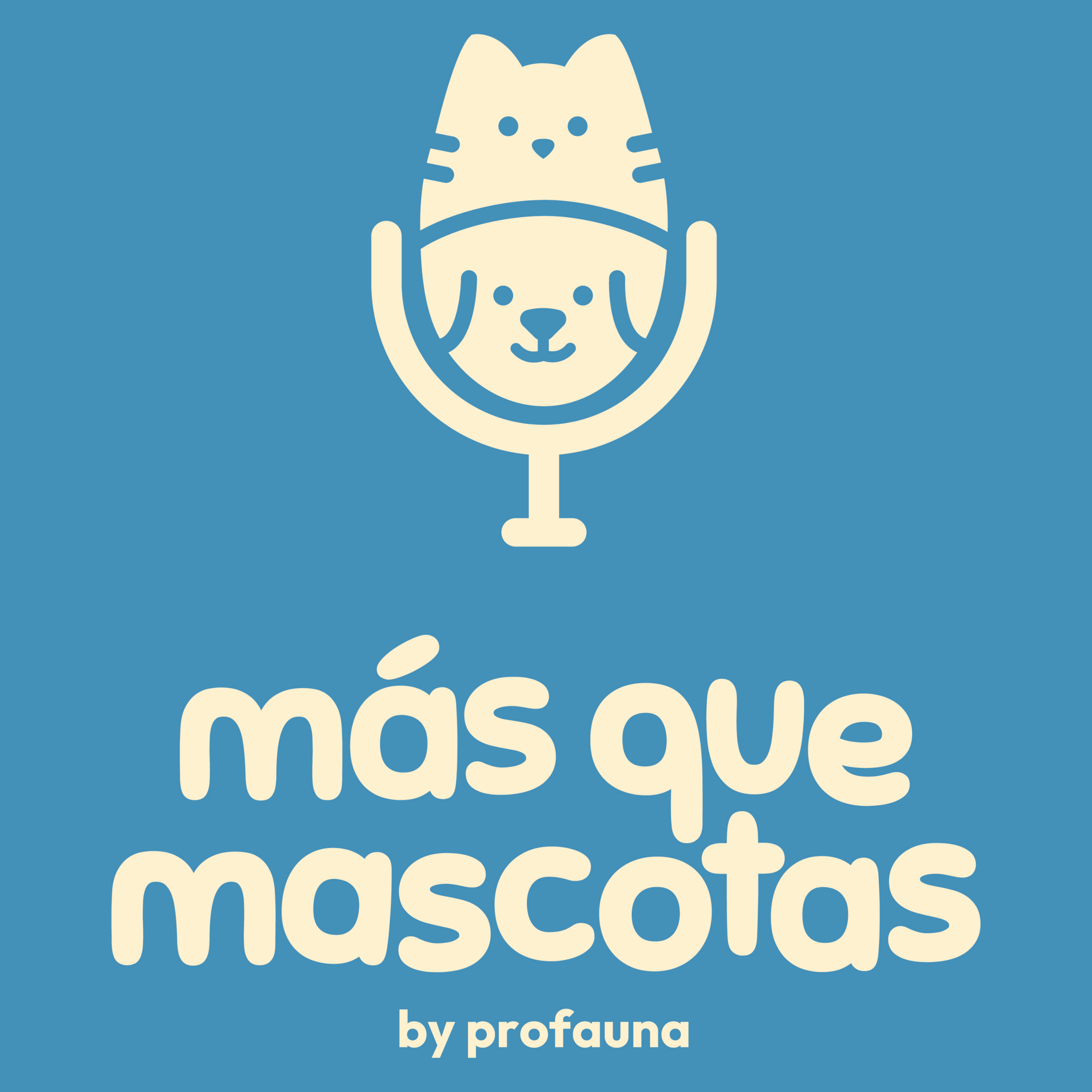 Más que mascotas