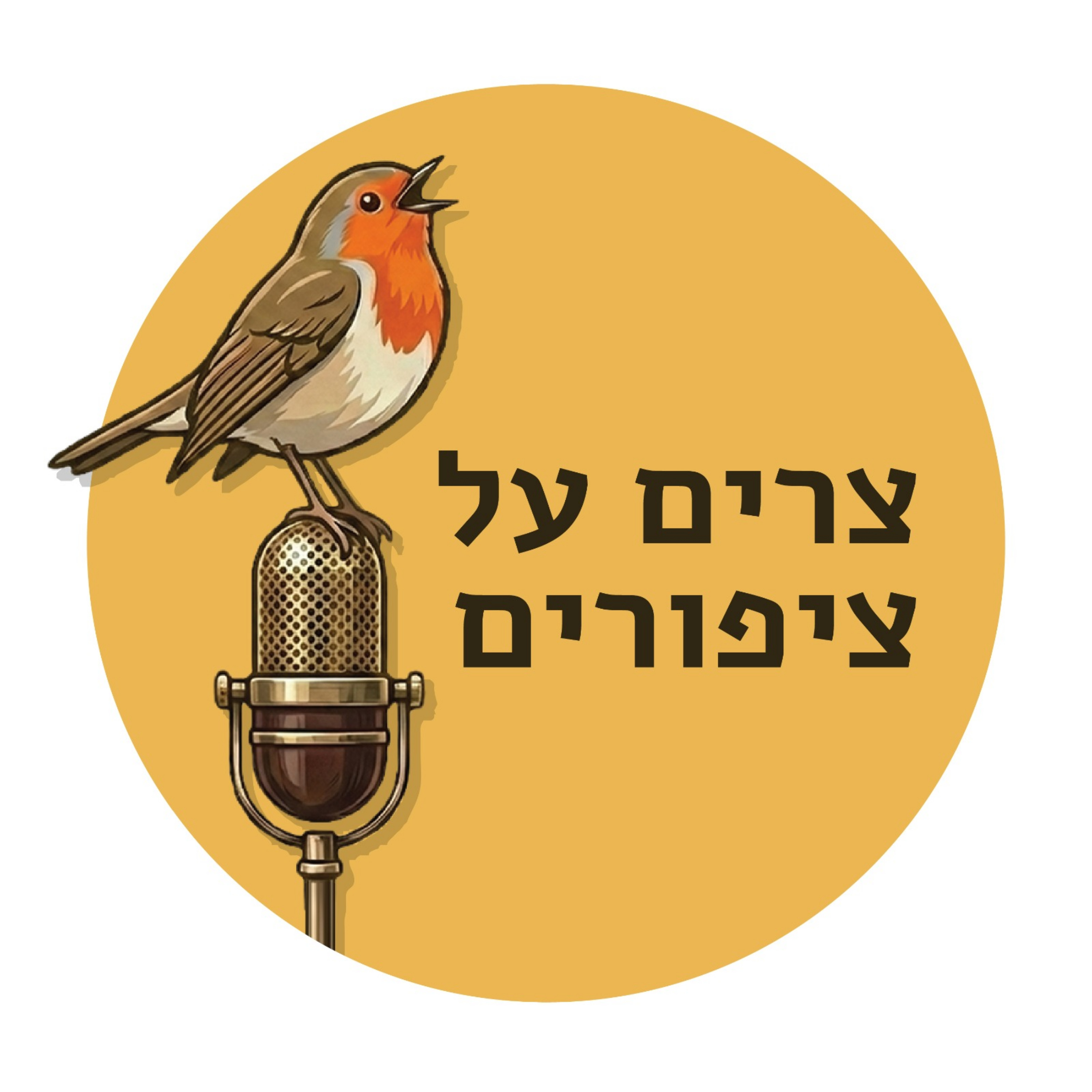 צרים על ציפורים cover art