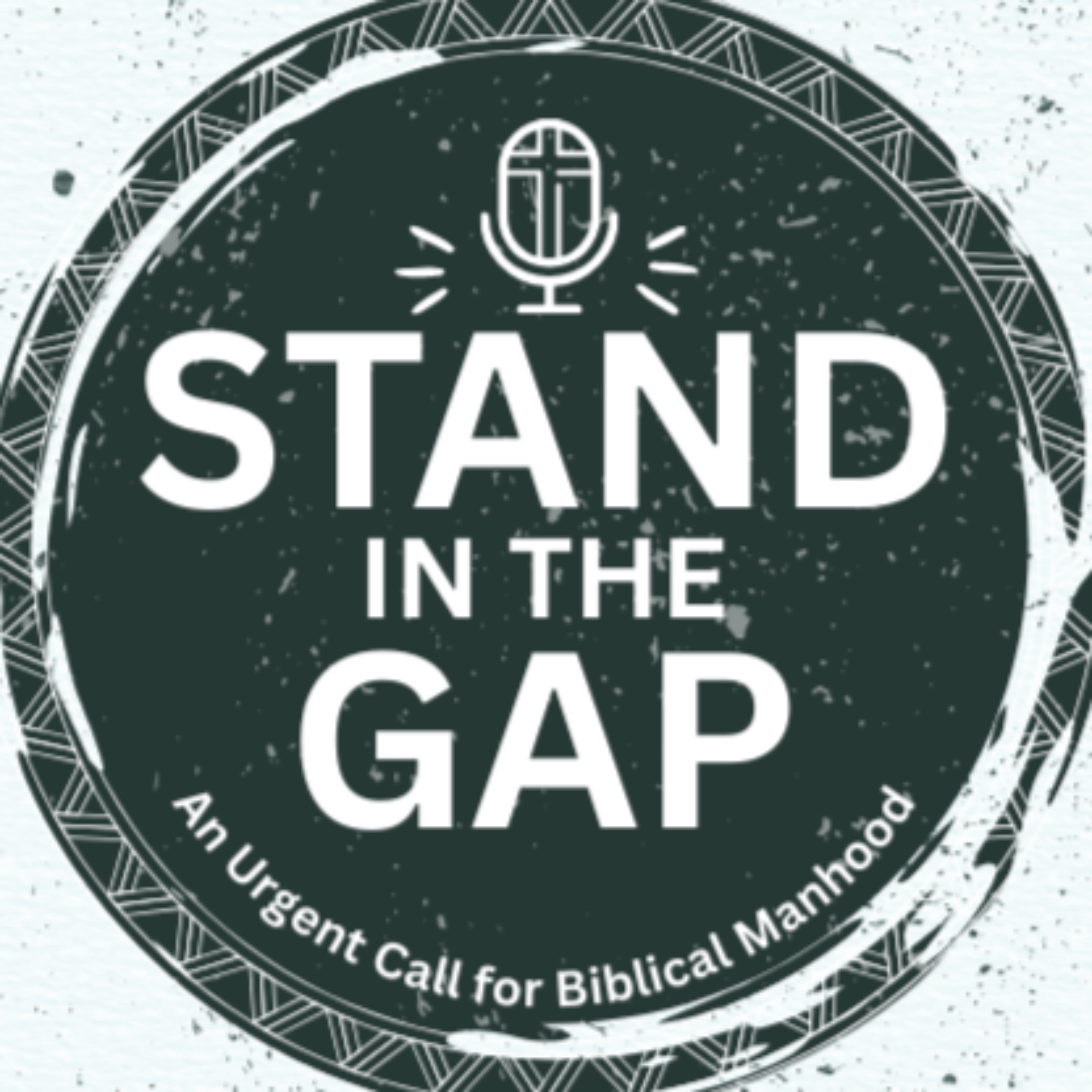 Stand in the Gap: An Urgent Call For Biblical Manhood cover art