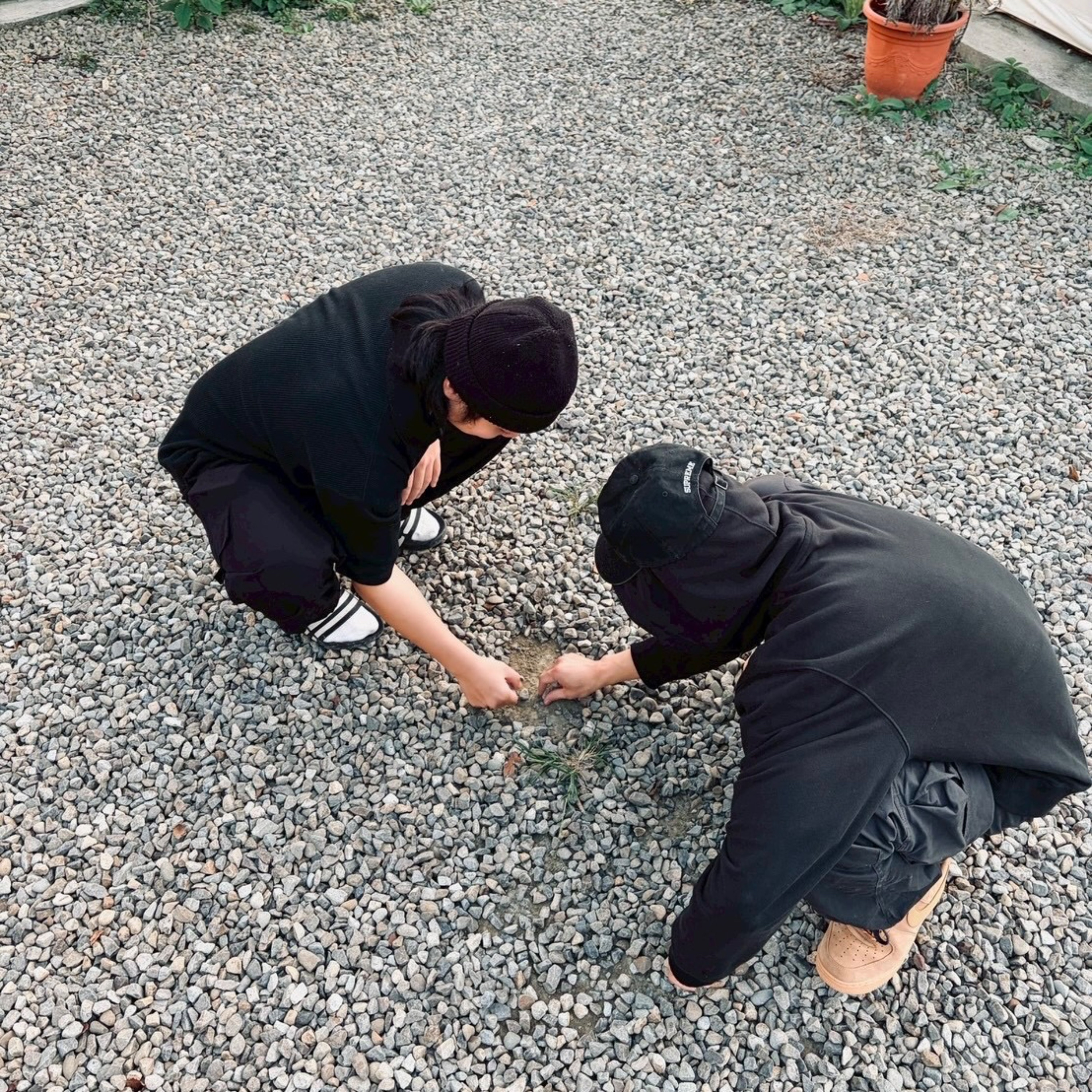 賈霸熊贏