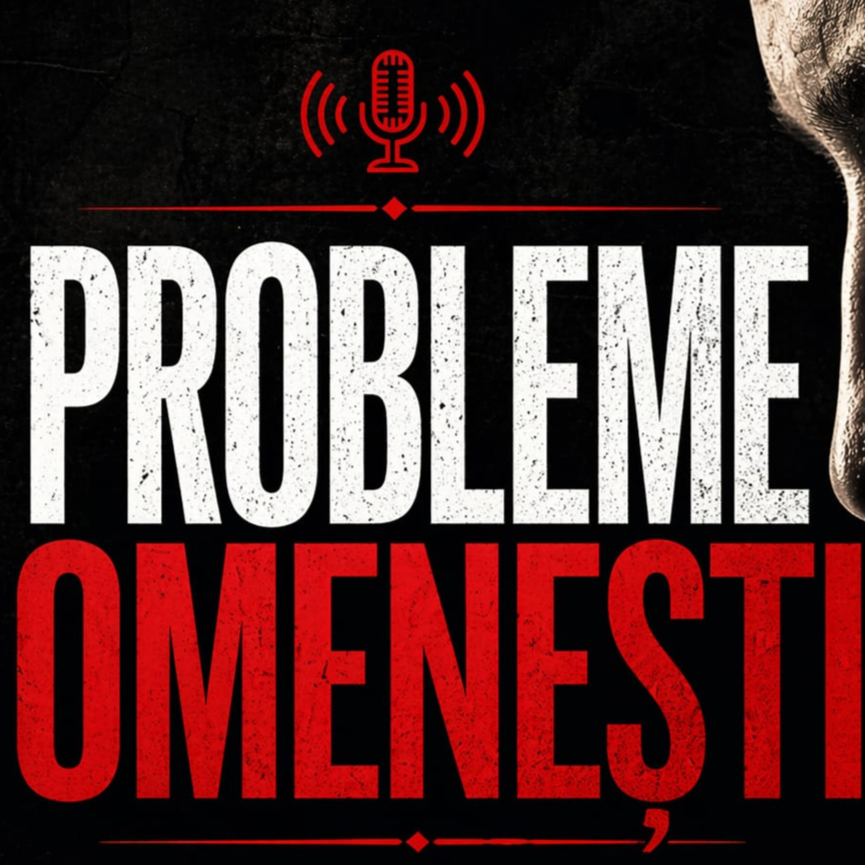 Cine stinge lumina României ? episode artwork