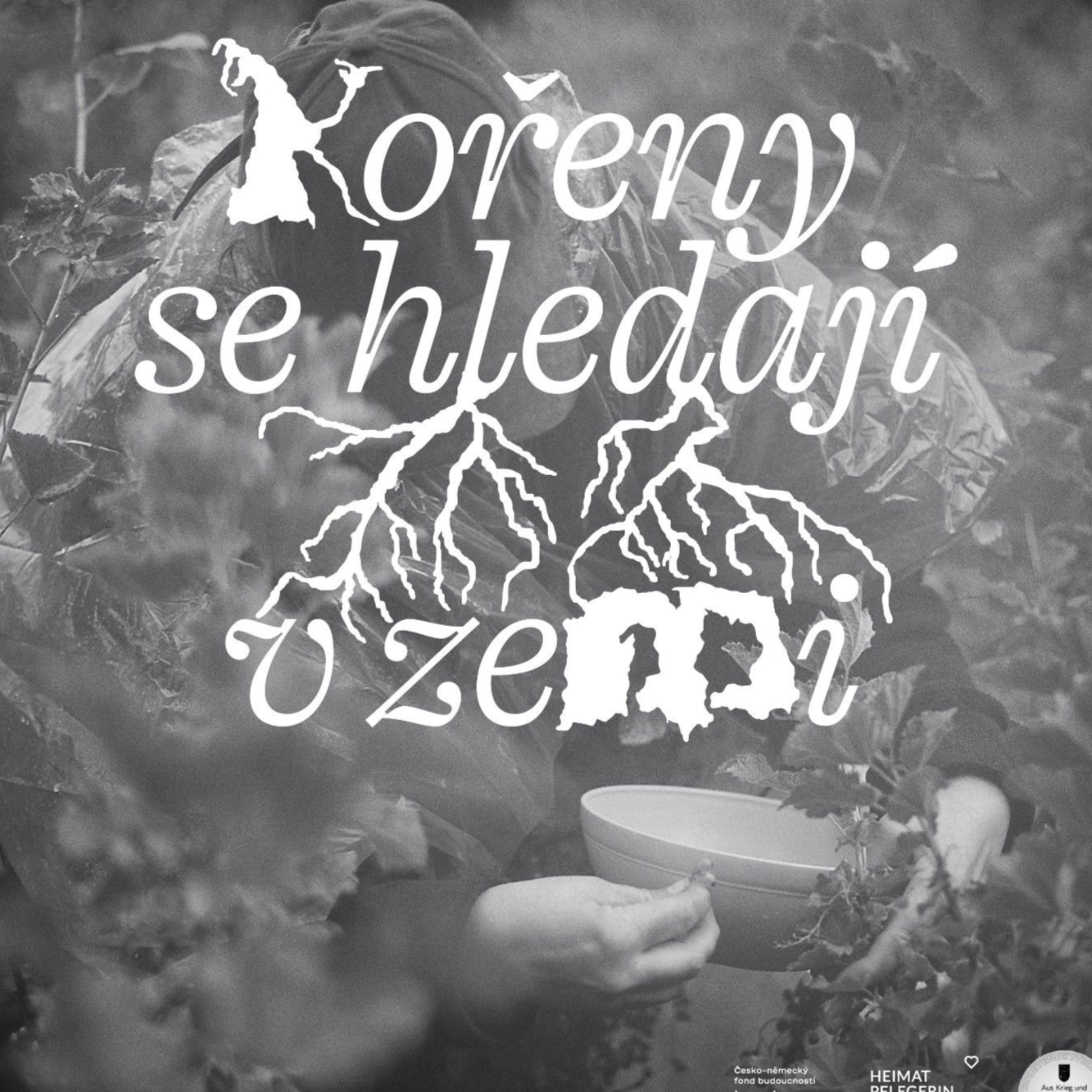 Kořeny se hledají v zemi podcast artwork