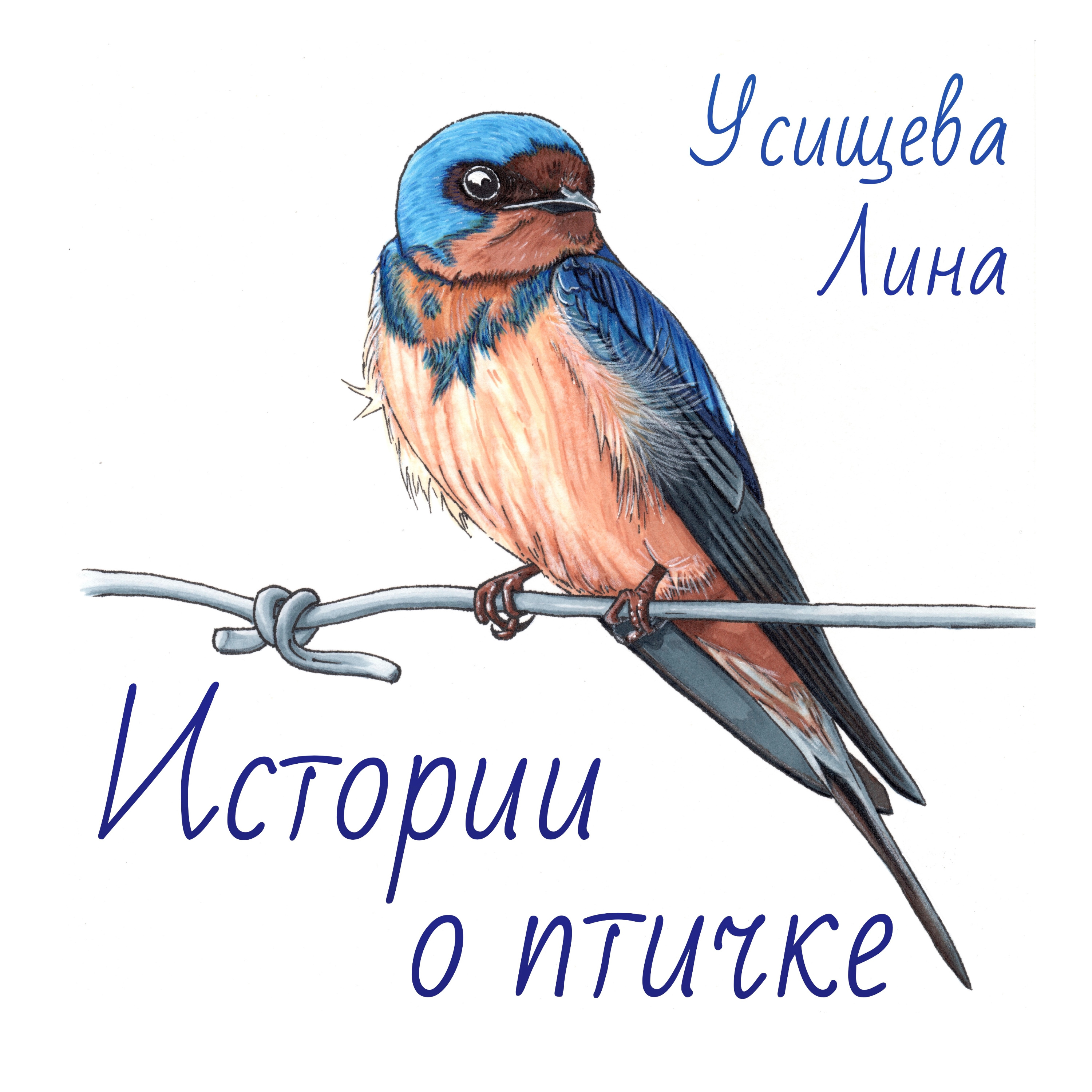 Истории о птичке podcast artwork