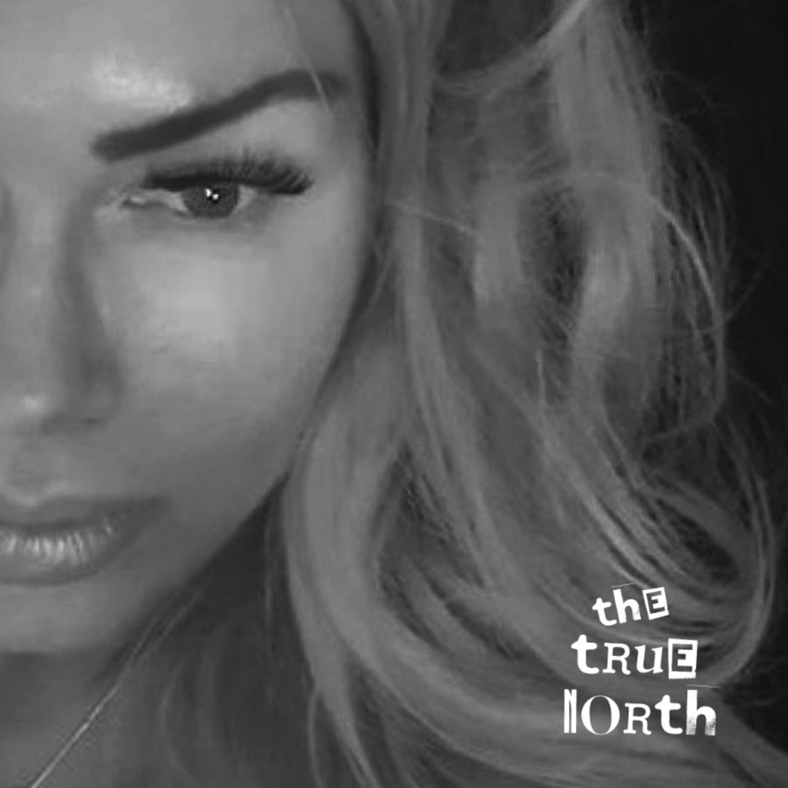 the TRUE NORTH 🌟 podcast artwork