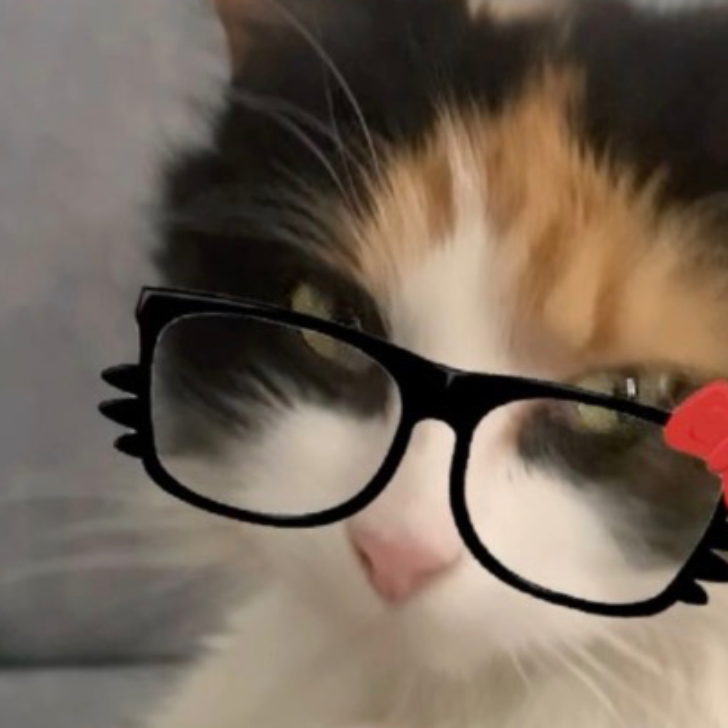 2 Gay Furry's in a Hotel