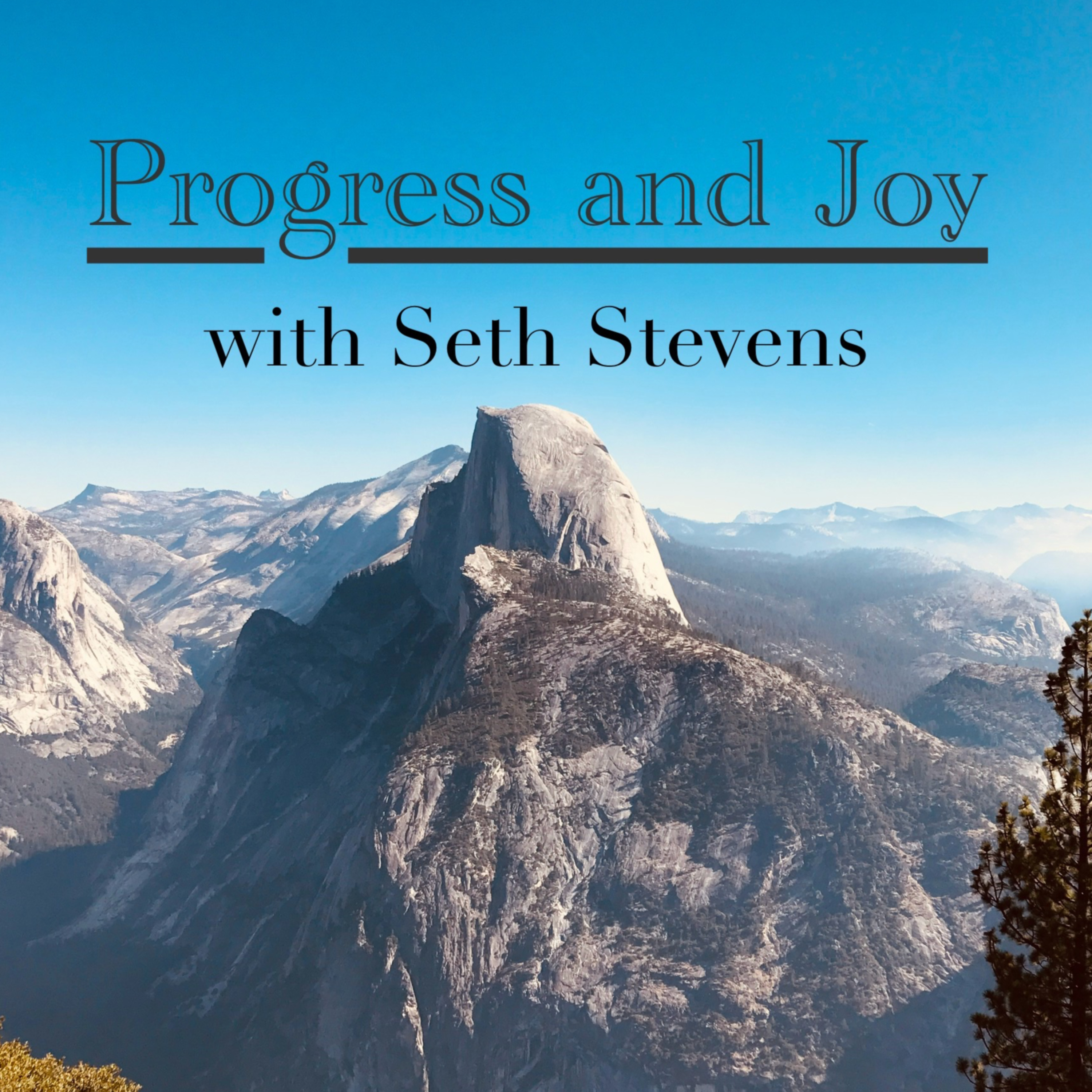 Progress and Joy