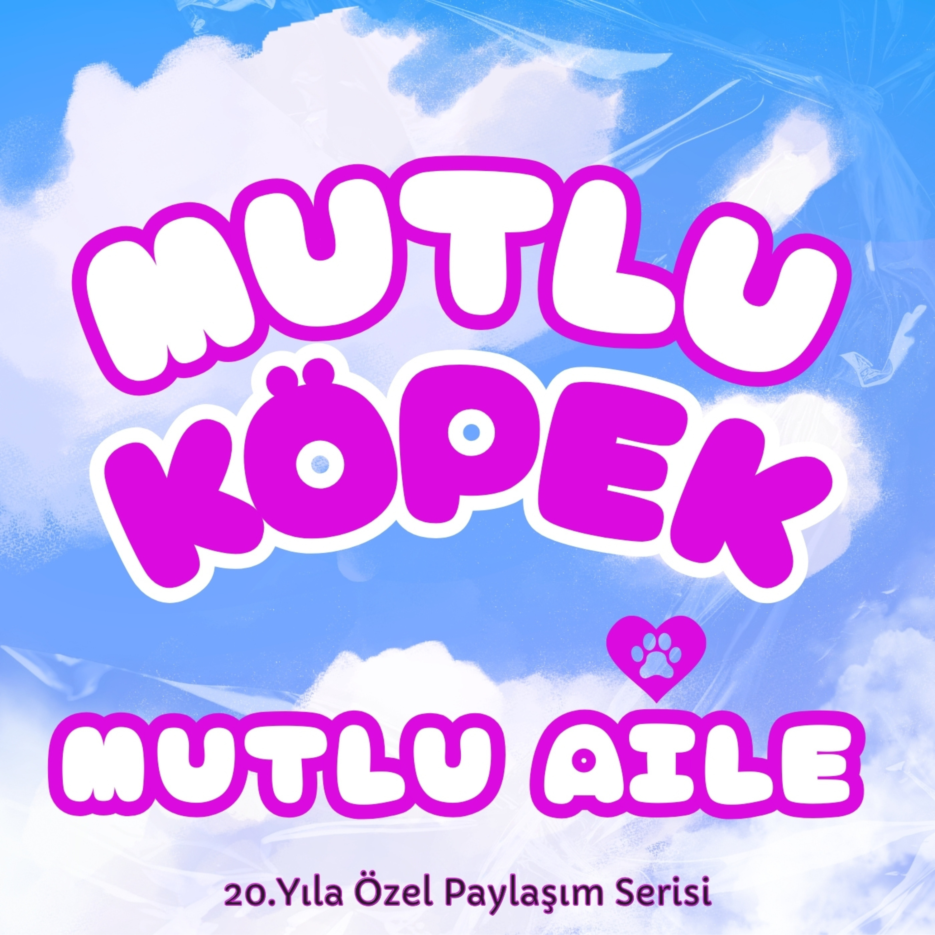 Köpek Sahipliği ve Liderlik Enerjisi