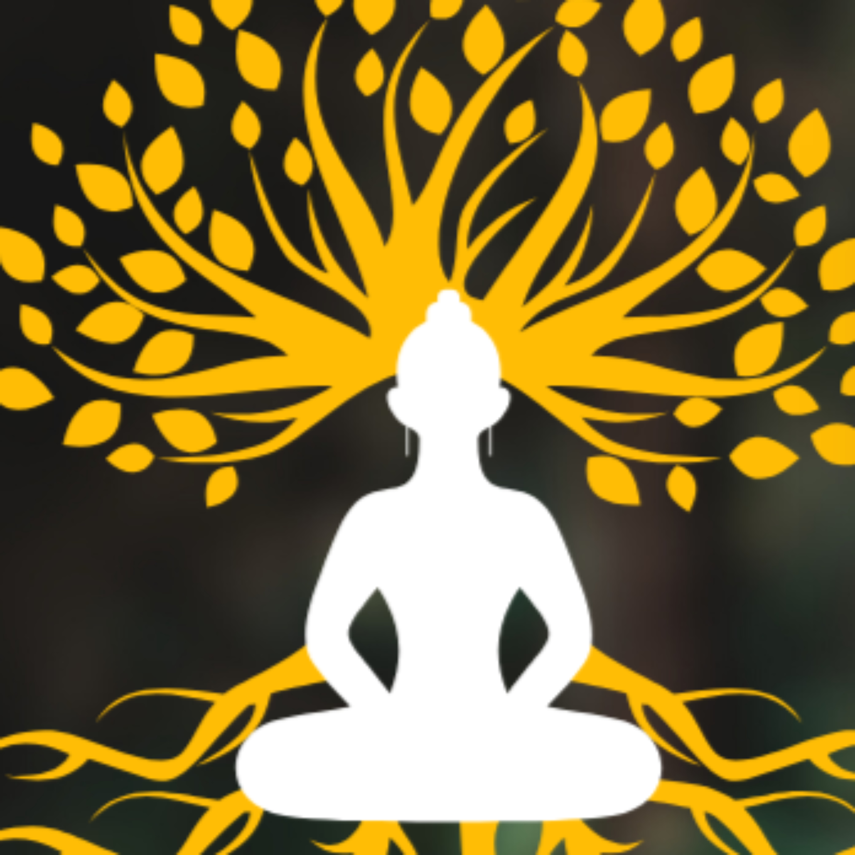 Innate Wisdom: Your Body Knows - Are you Listening?