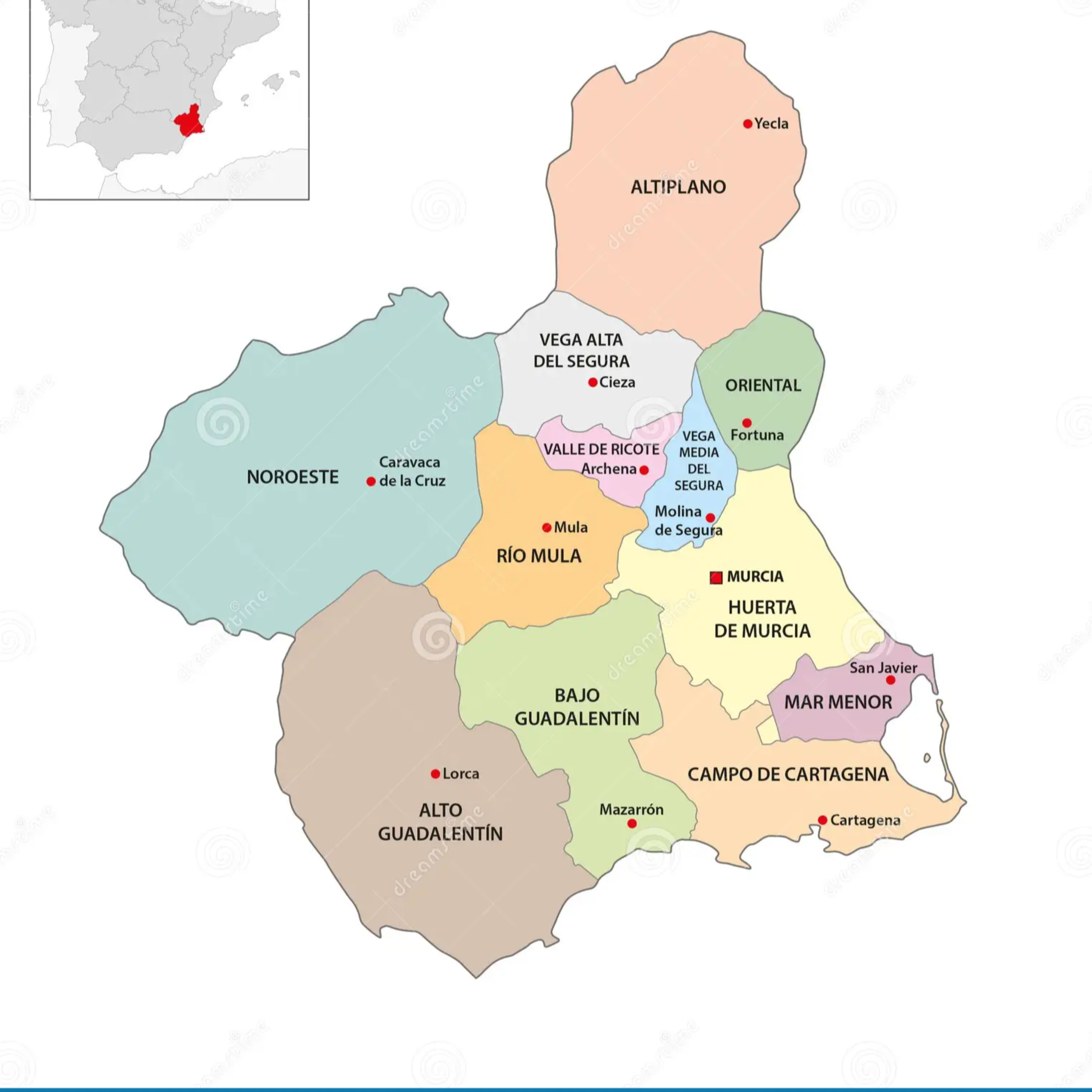 Educación en la Región de Murcia