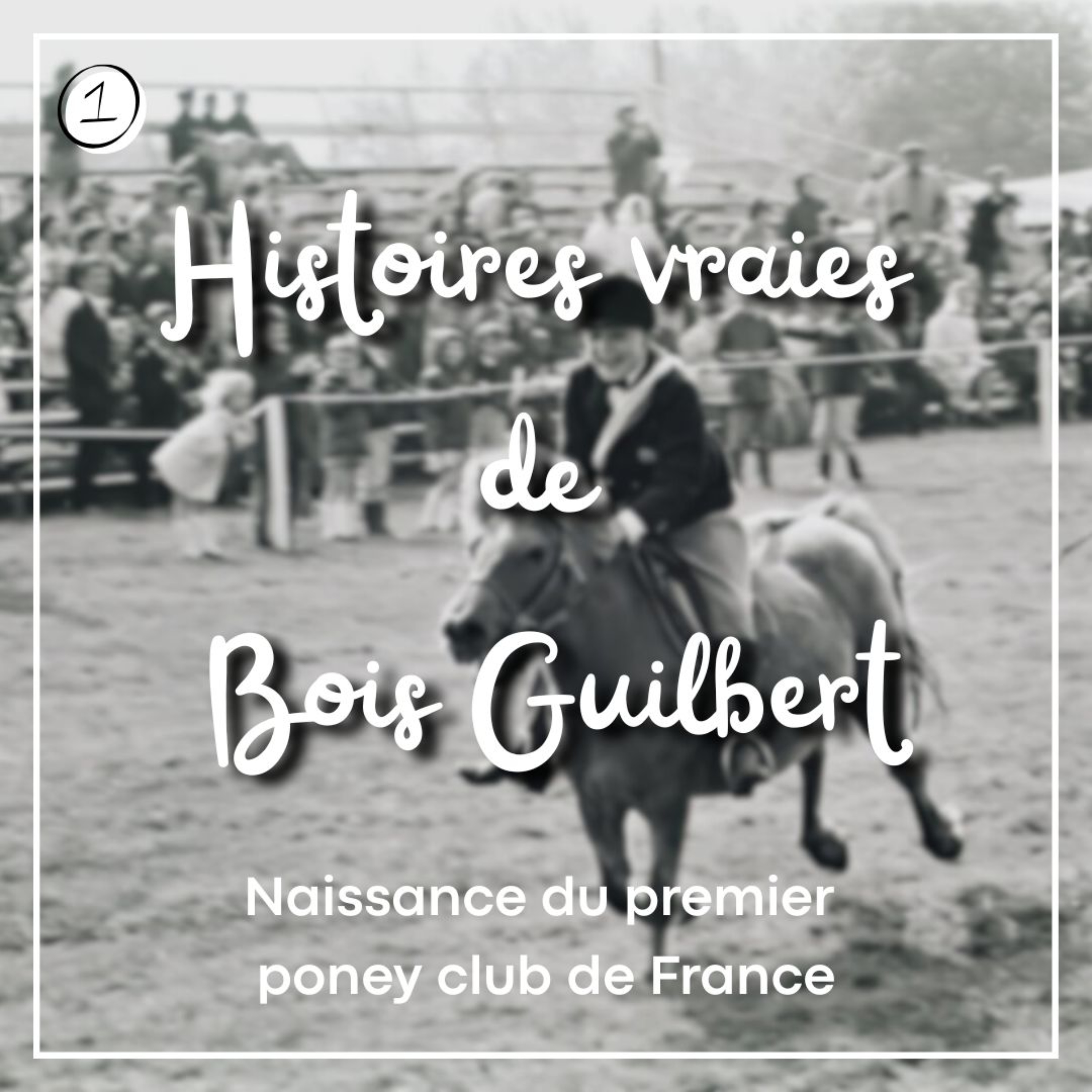 Histoires vraies de Bois Guilbert podcast artwork