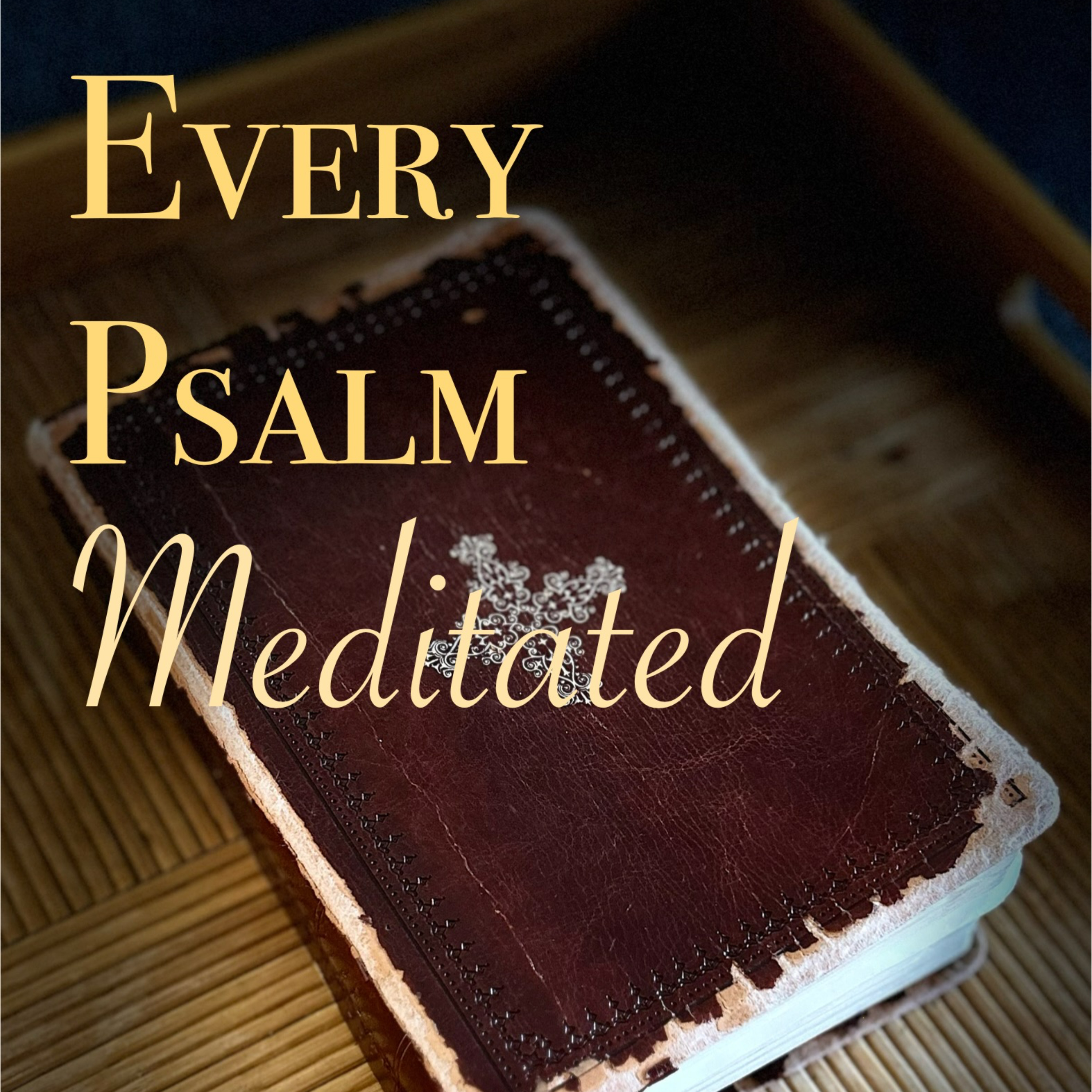 Every Psalm Meditated