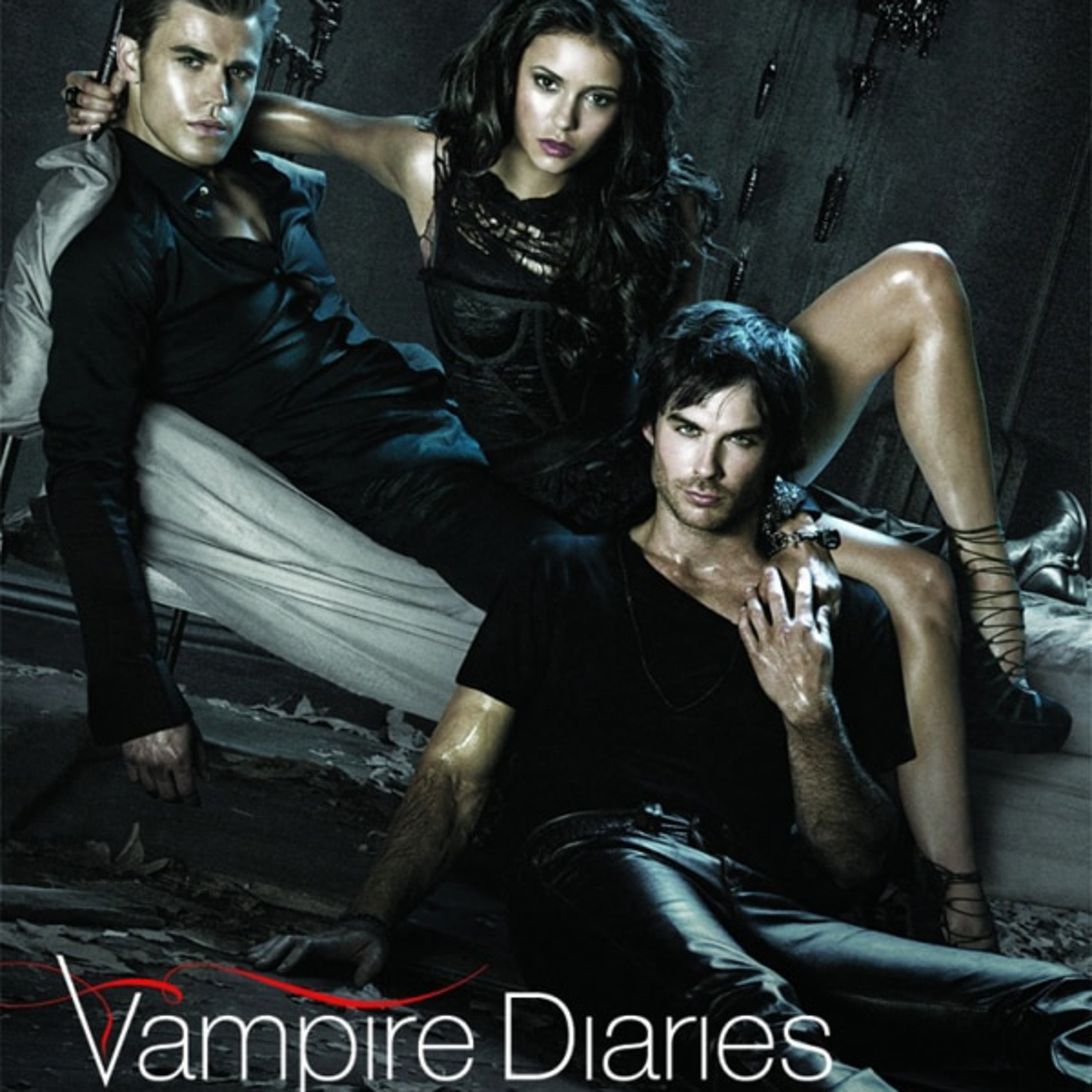 Vampire Diaries- unser Vampirtagebuch cover art