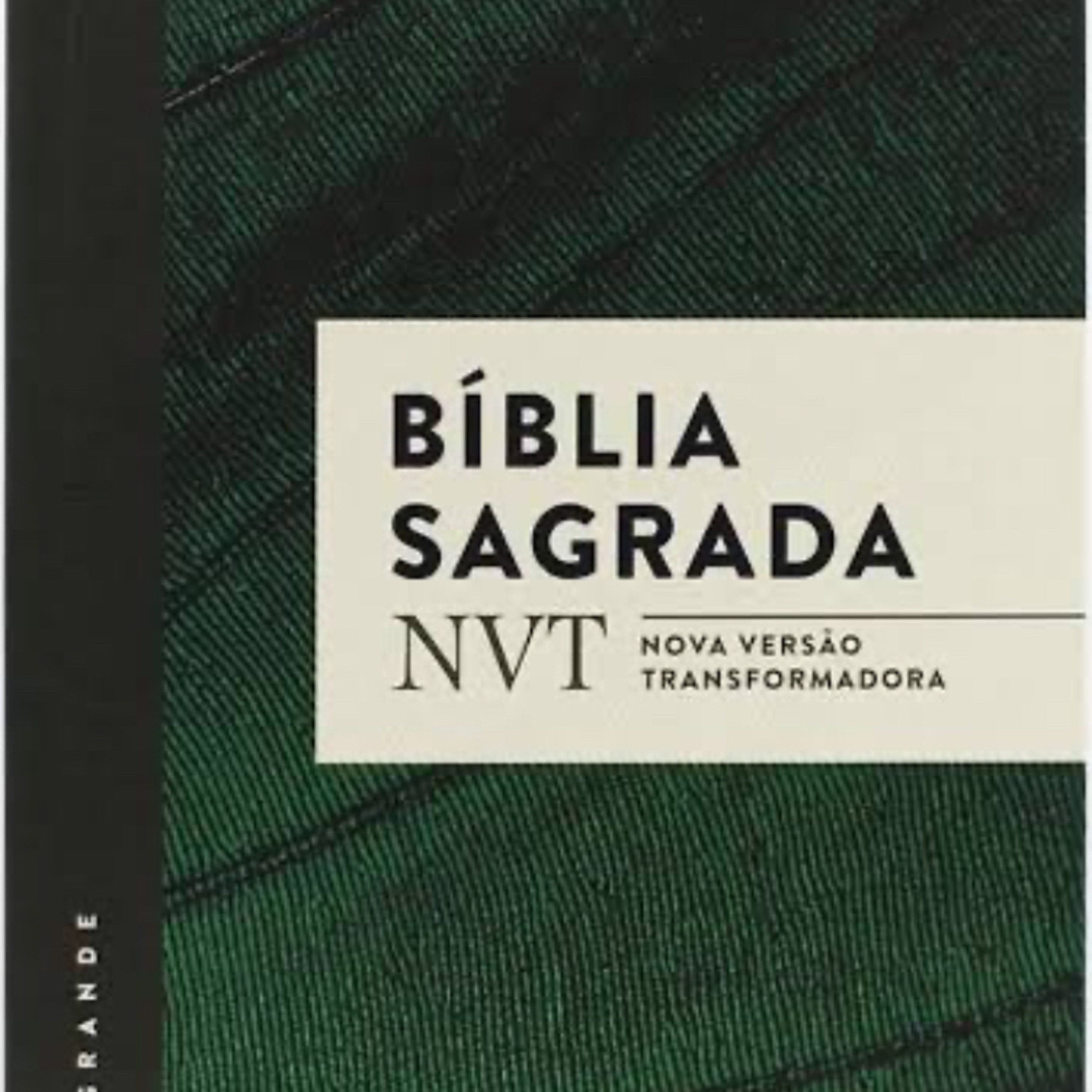 Plano de leitura anual da Bíblia NVT cover art