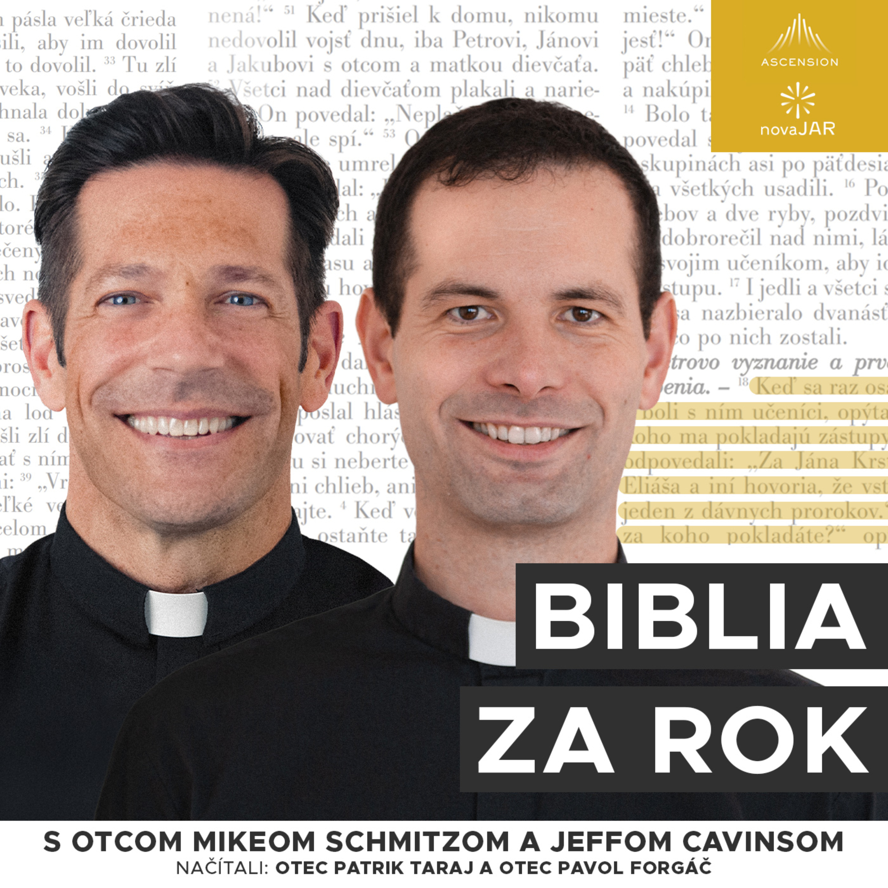 Biblia za rok (s otcom Mikeom Schmitzom)