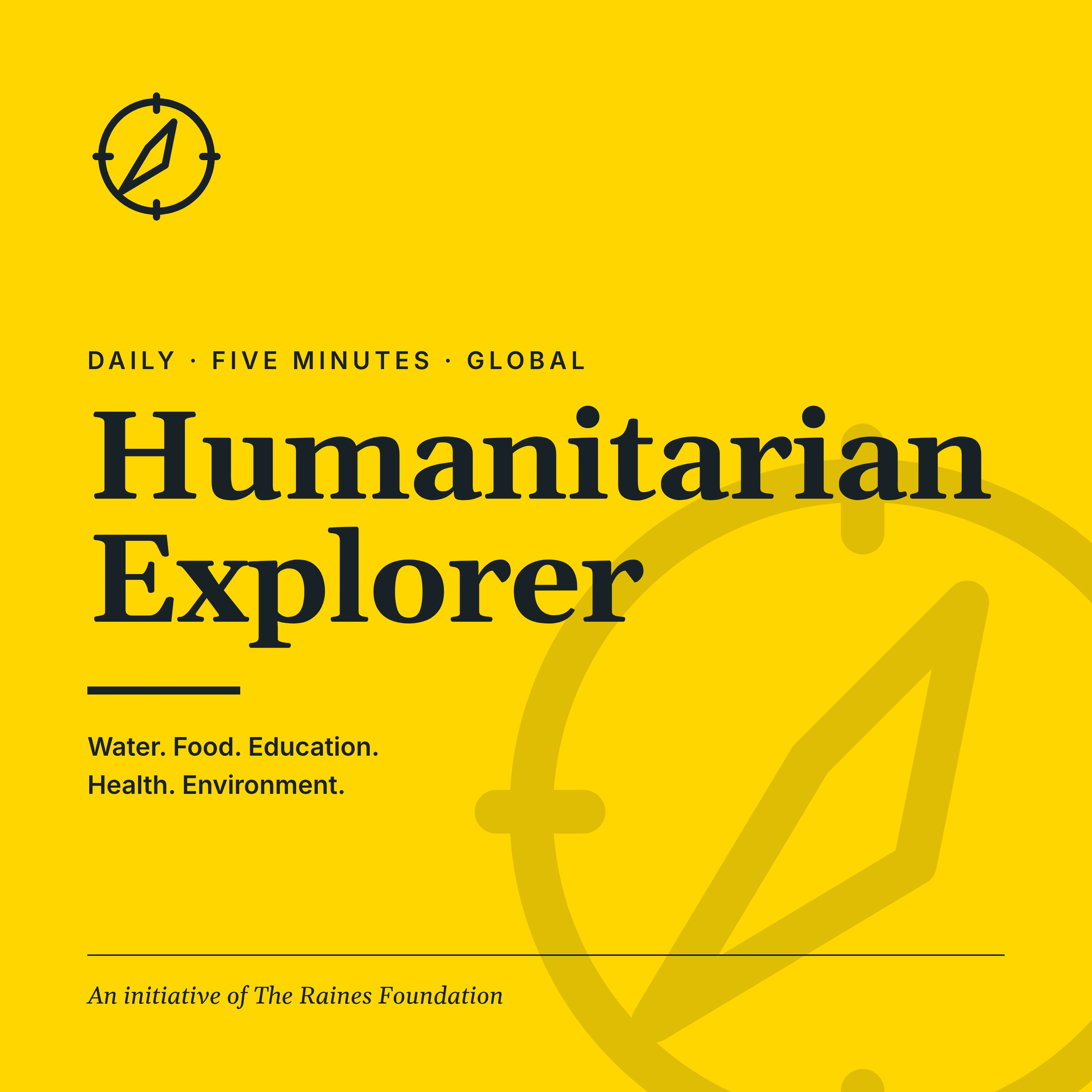 Humanitarian Explorer artwork