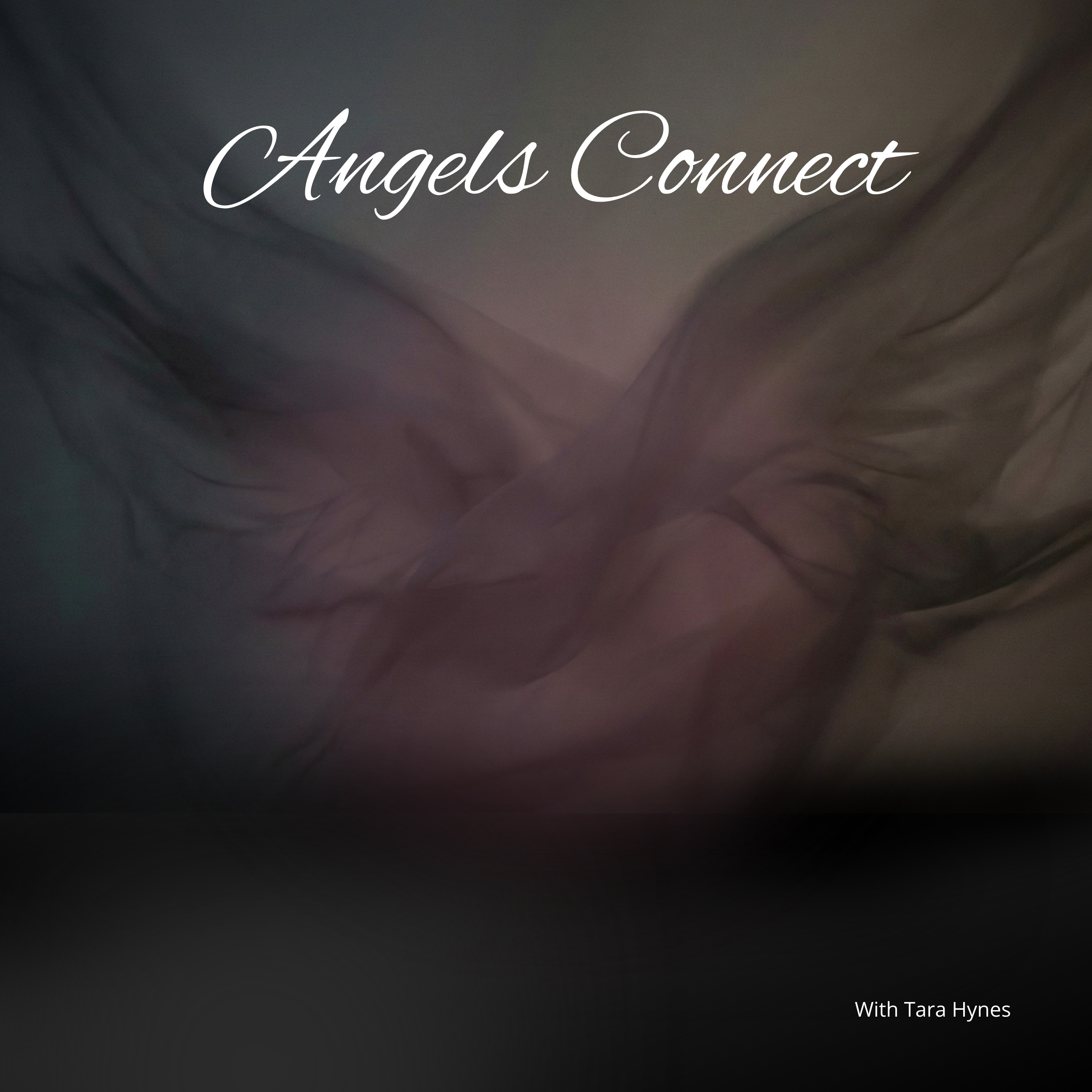 Angels Connect podcast artwork