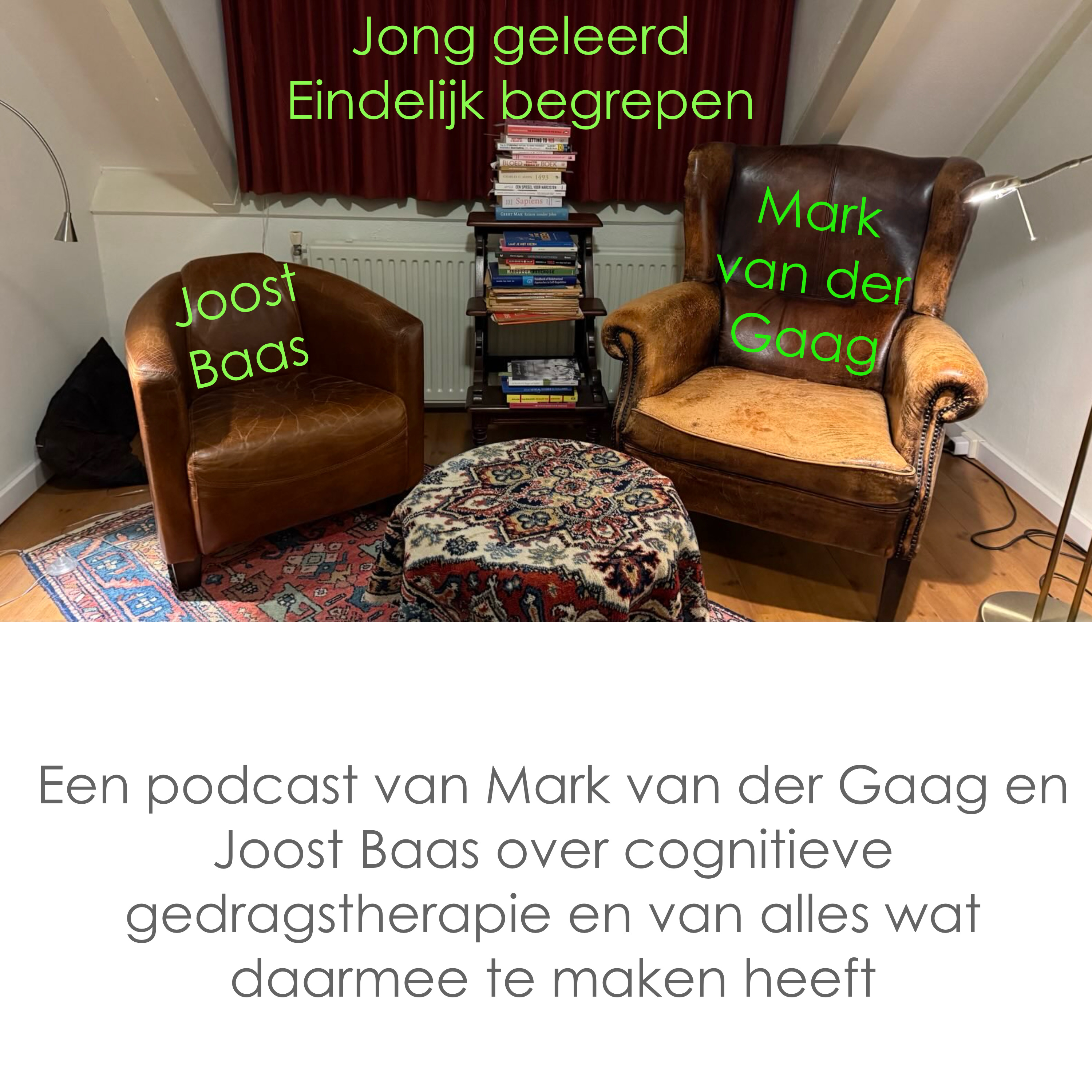 Jong geleerd, eindelijk begrepen podcast artwork