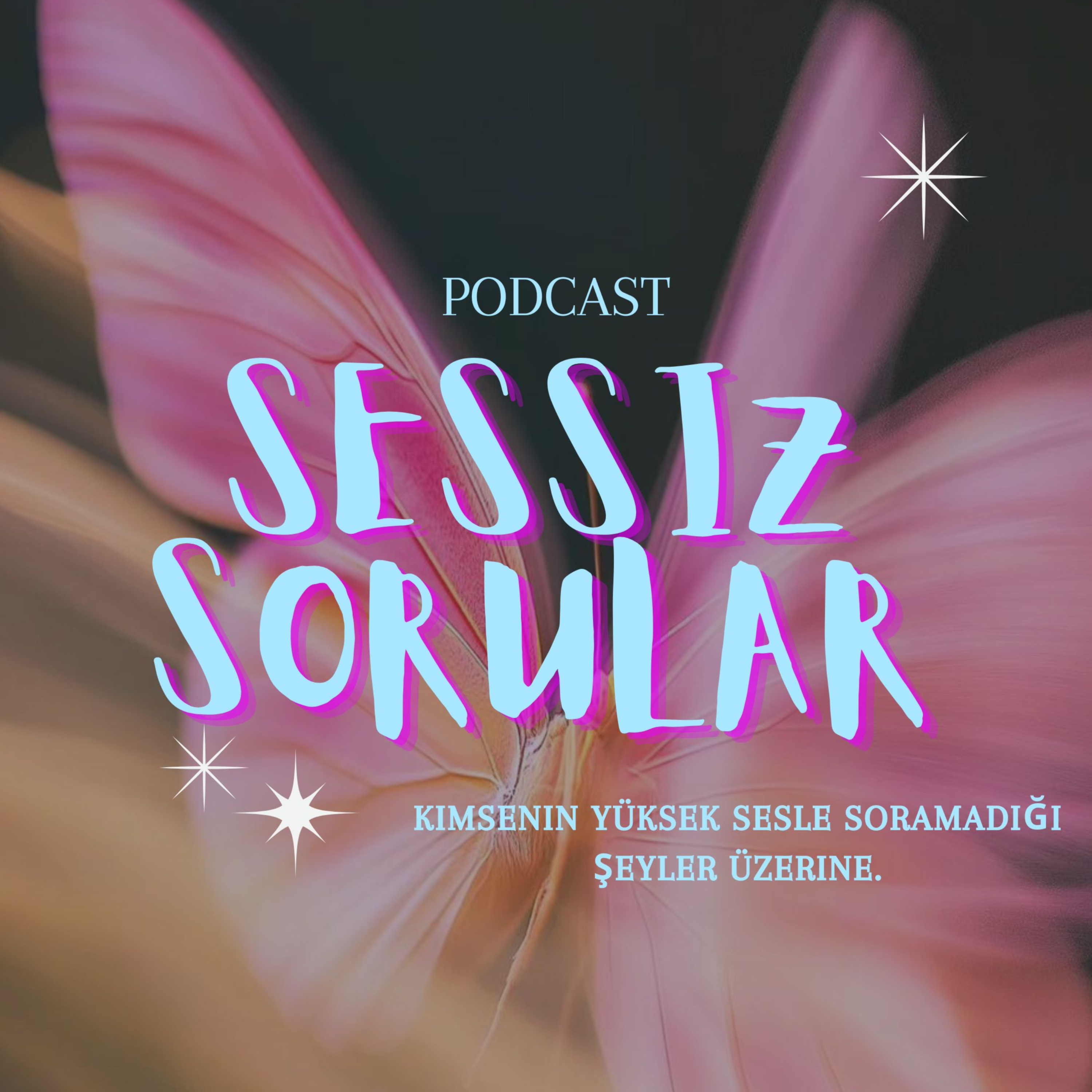 Sessiz Sorular