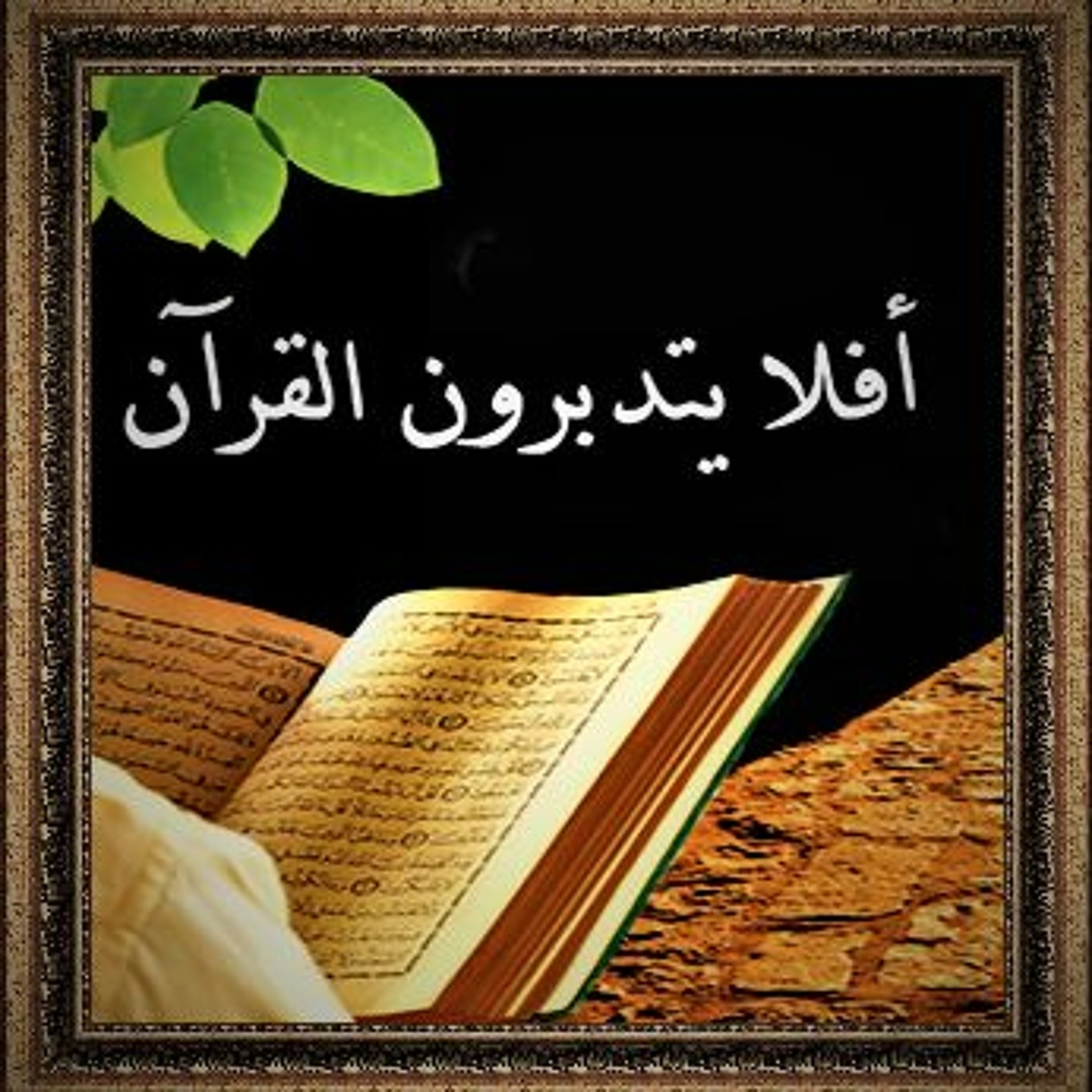 هدى للناس cover art