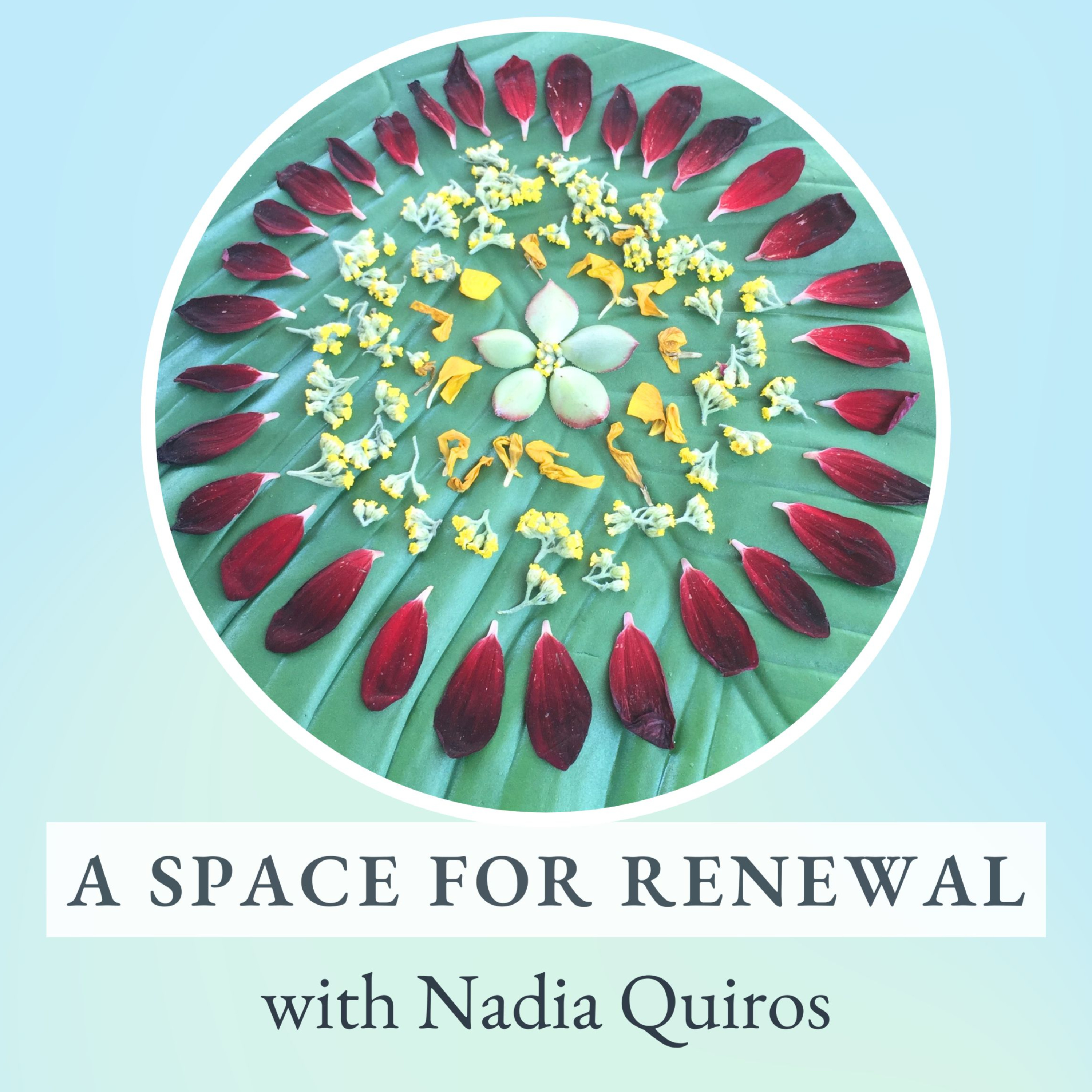 A Space for Renewal cover art