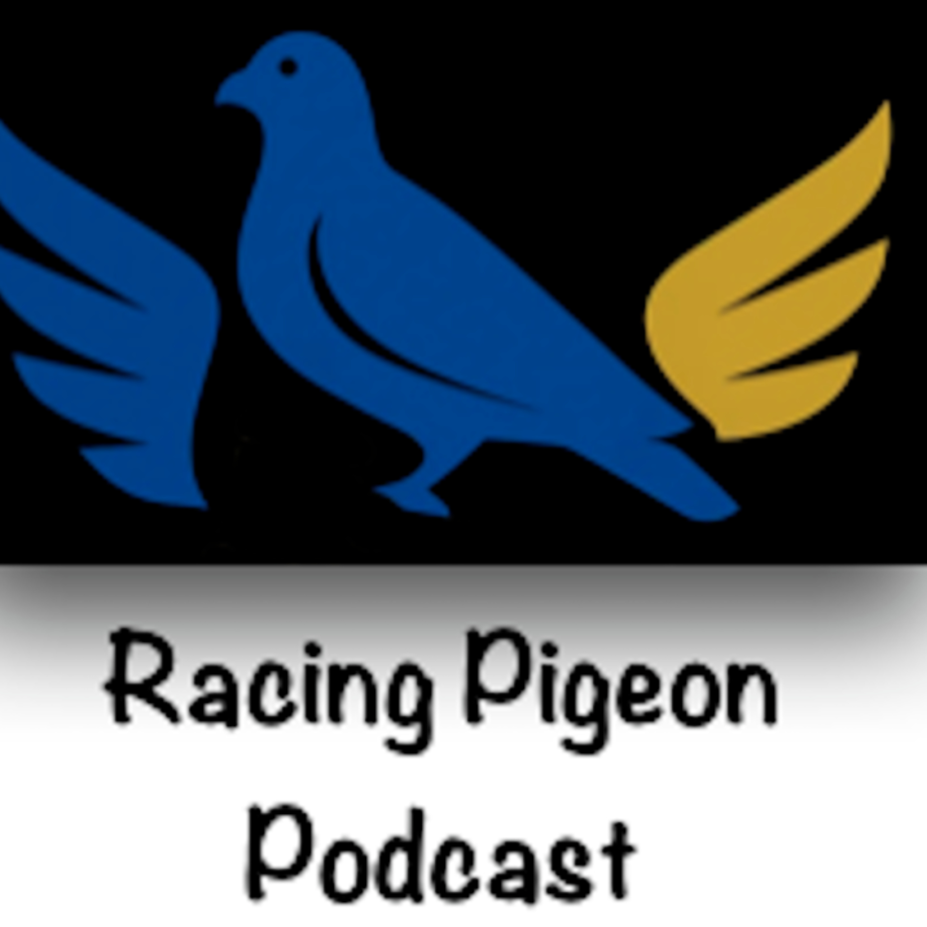 Racing Pigeon Podcast cover art