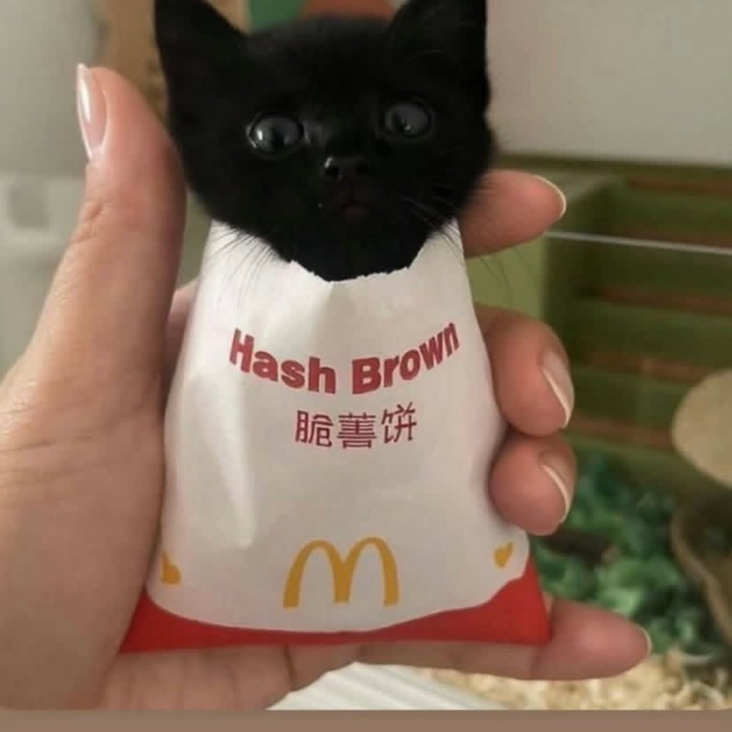 Grimxz's Goated Asmr cover art