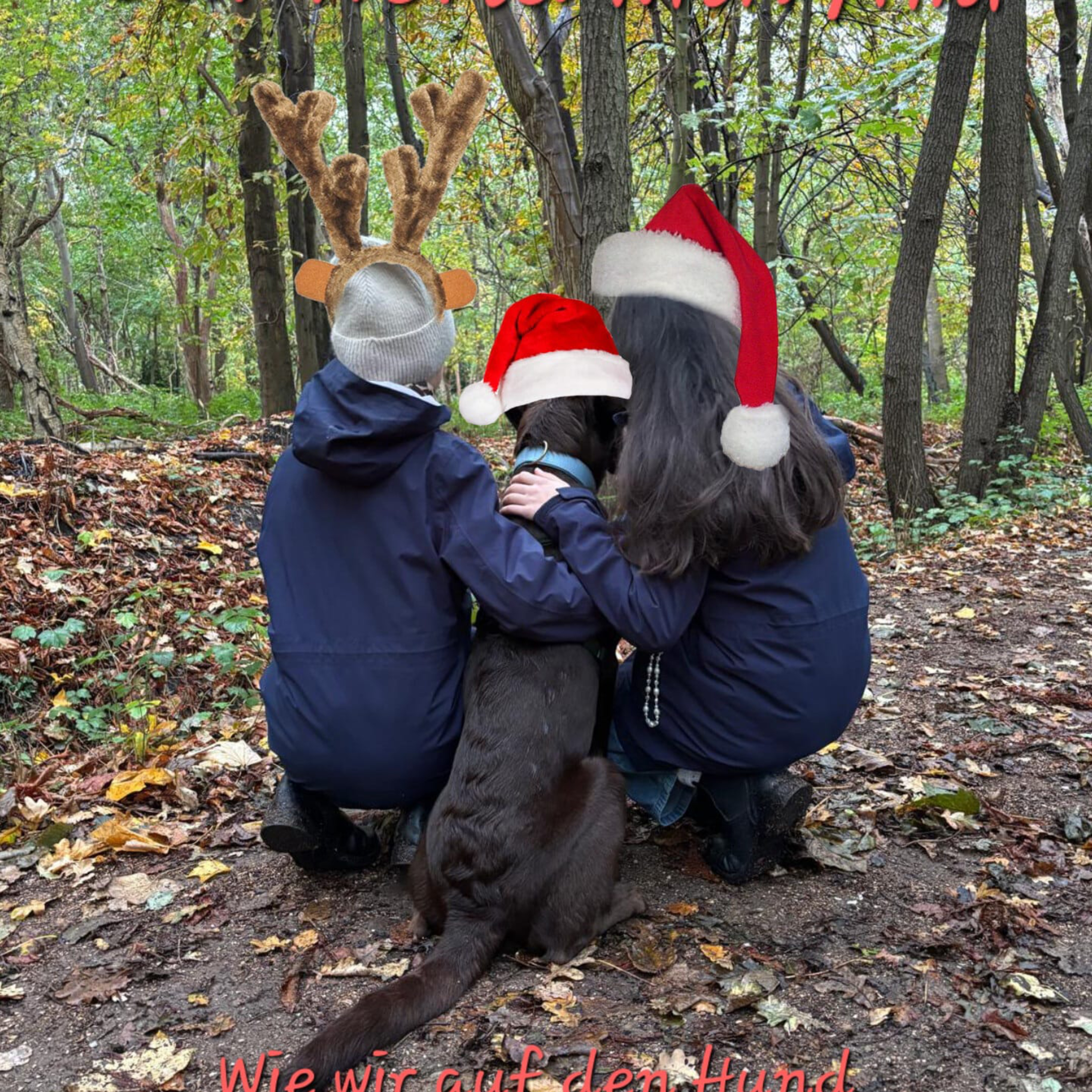 Our world with Ami:Wie wir auf den Hund gekommen sind