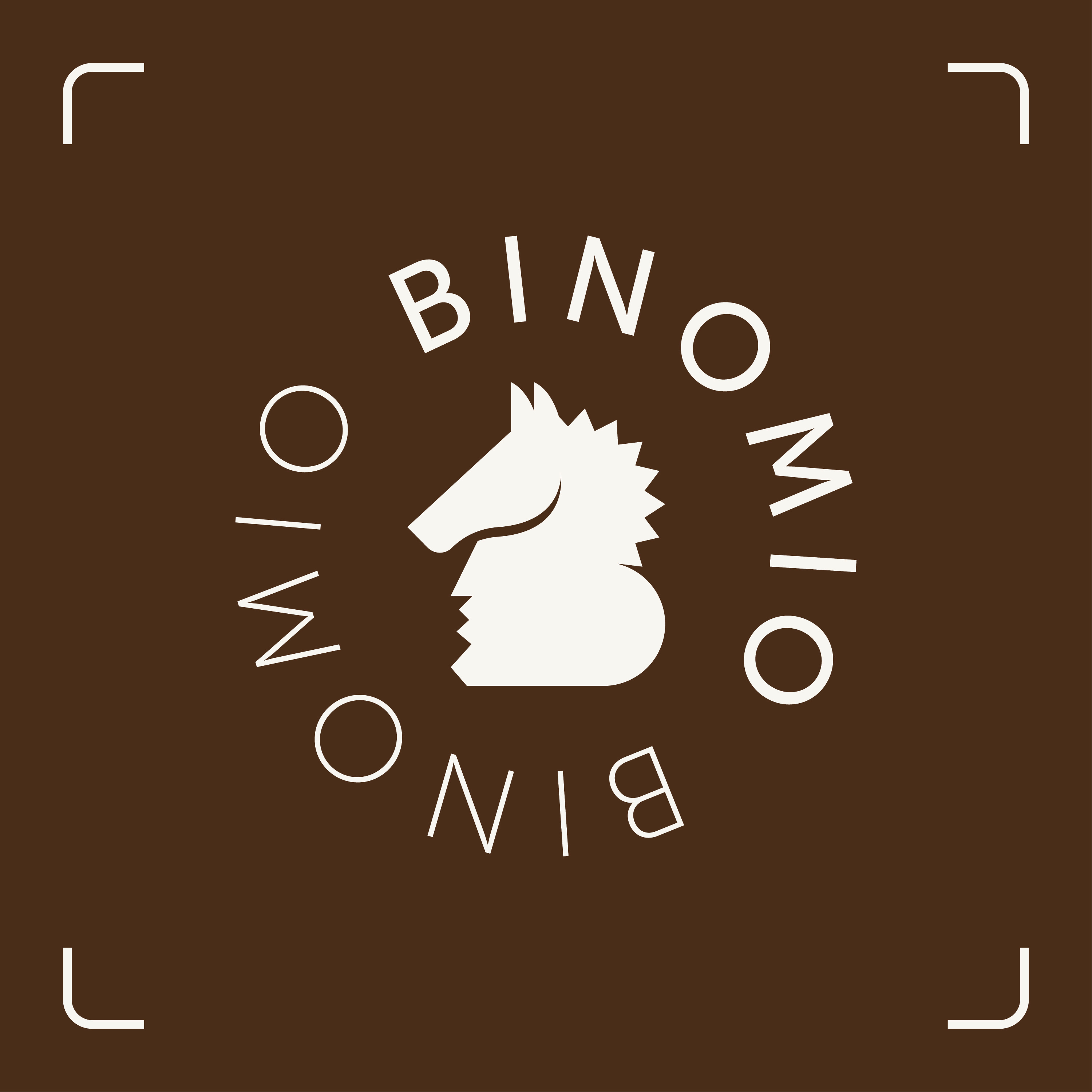 Binomio cover art