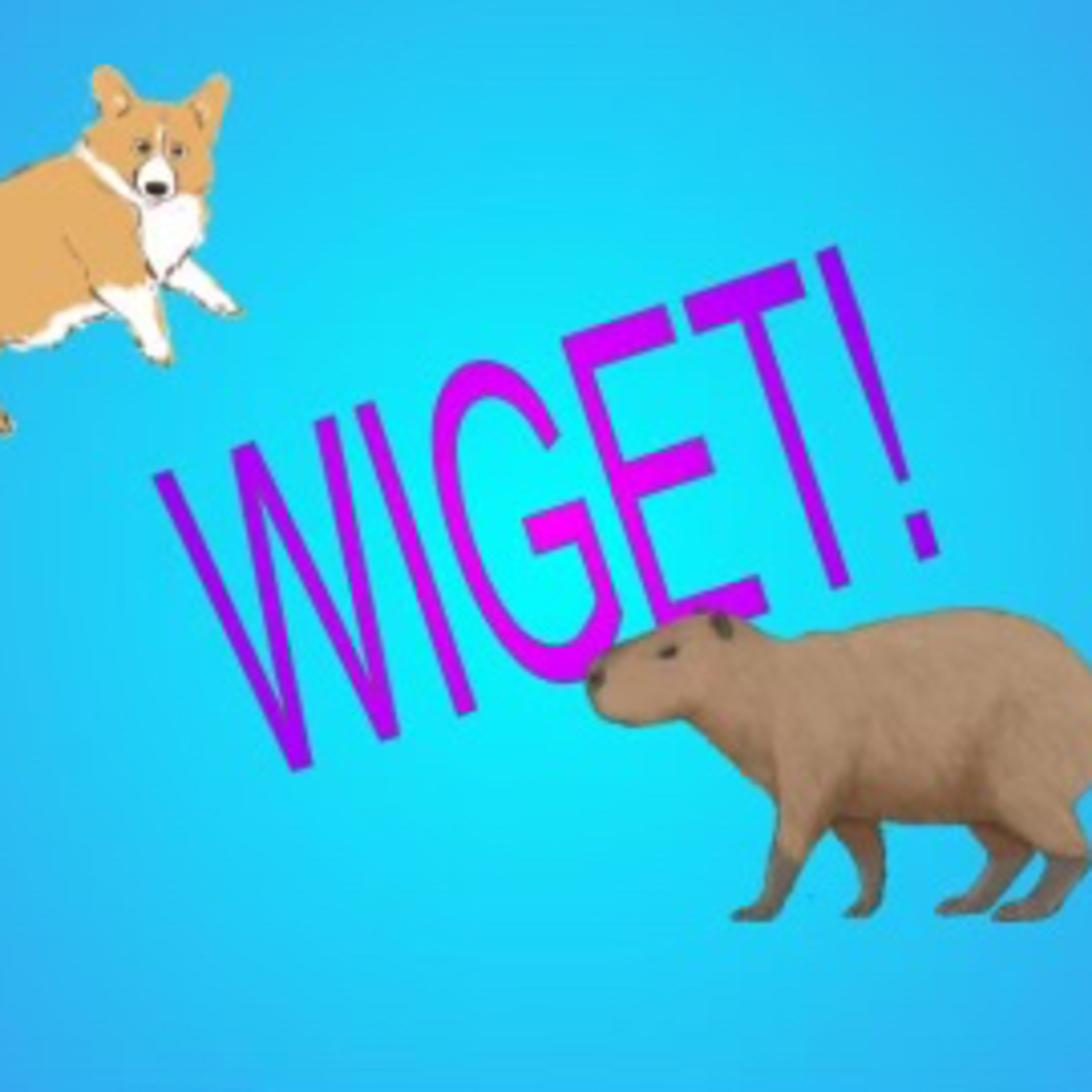 Wiget podcast artwork