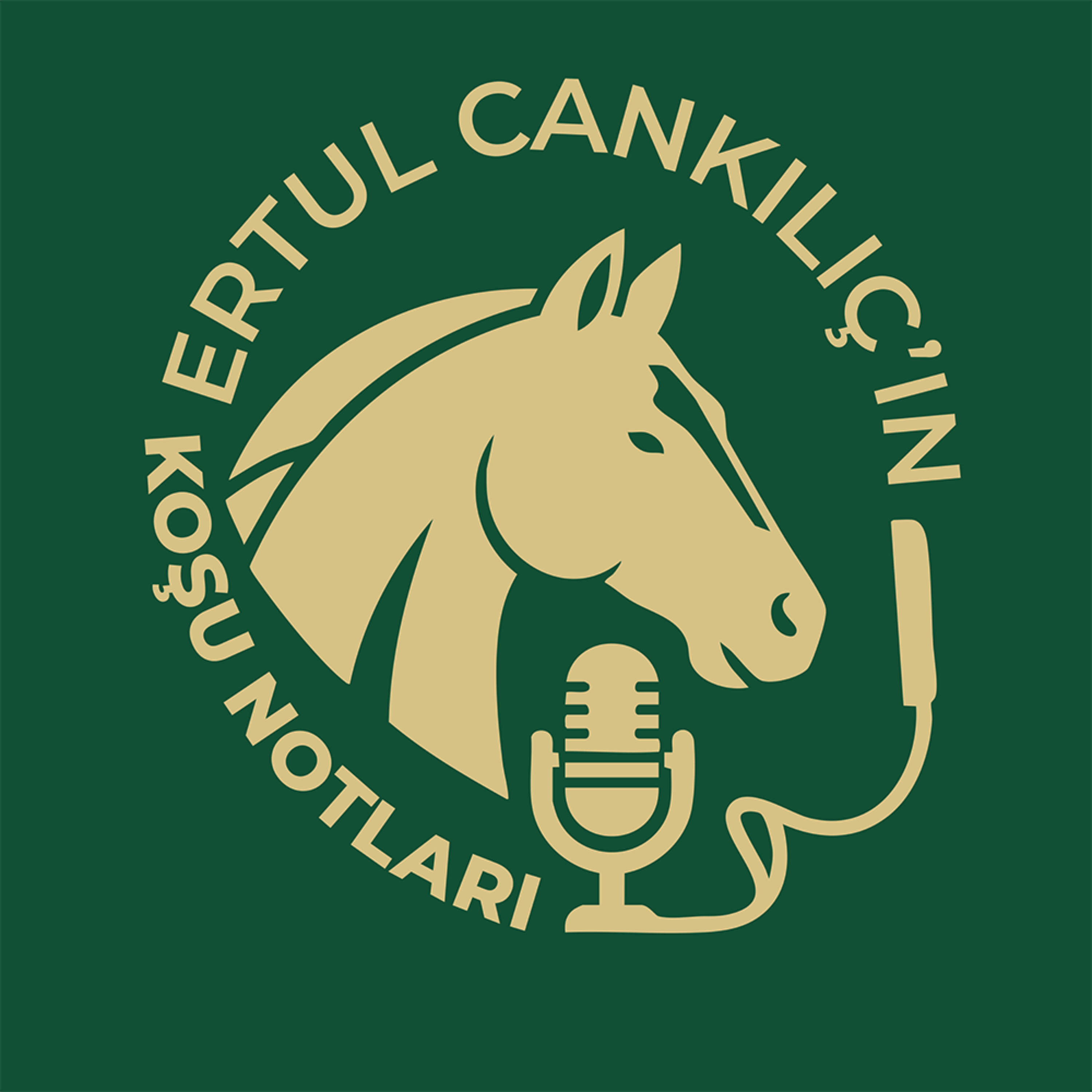 Ertul Cankılıç'ın Koşu Notları podcast artwork